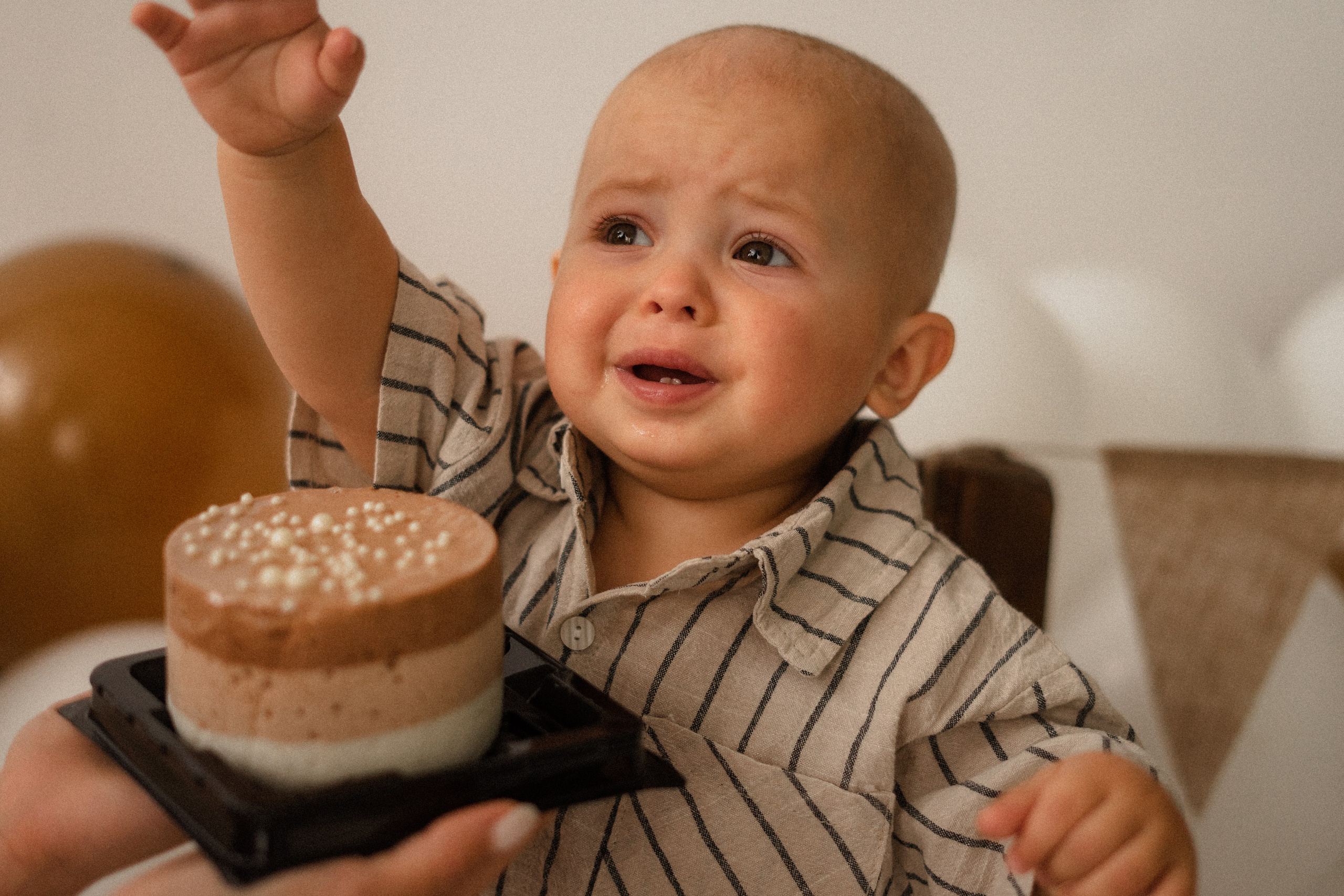 София, Иван и Миша. Главная