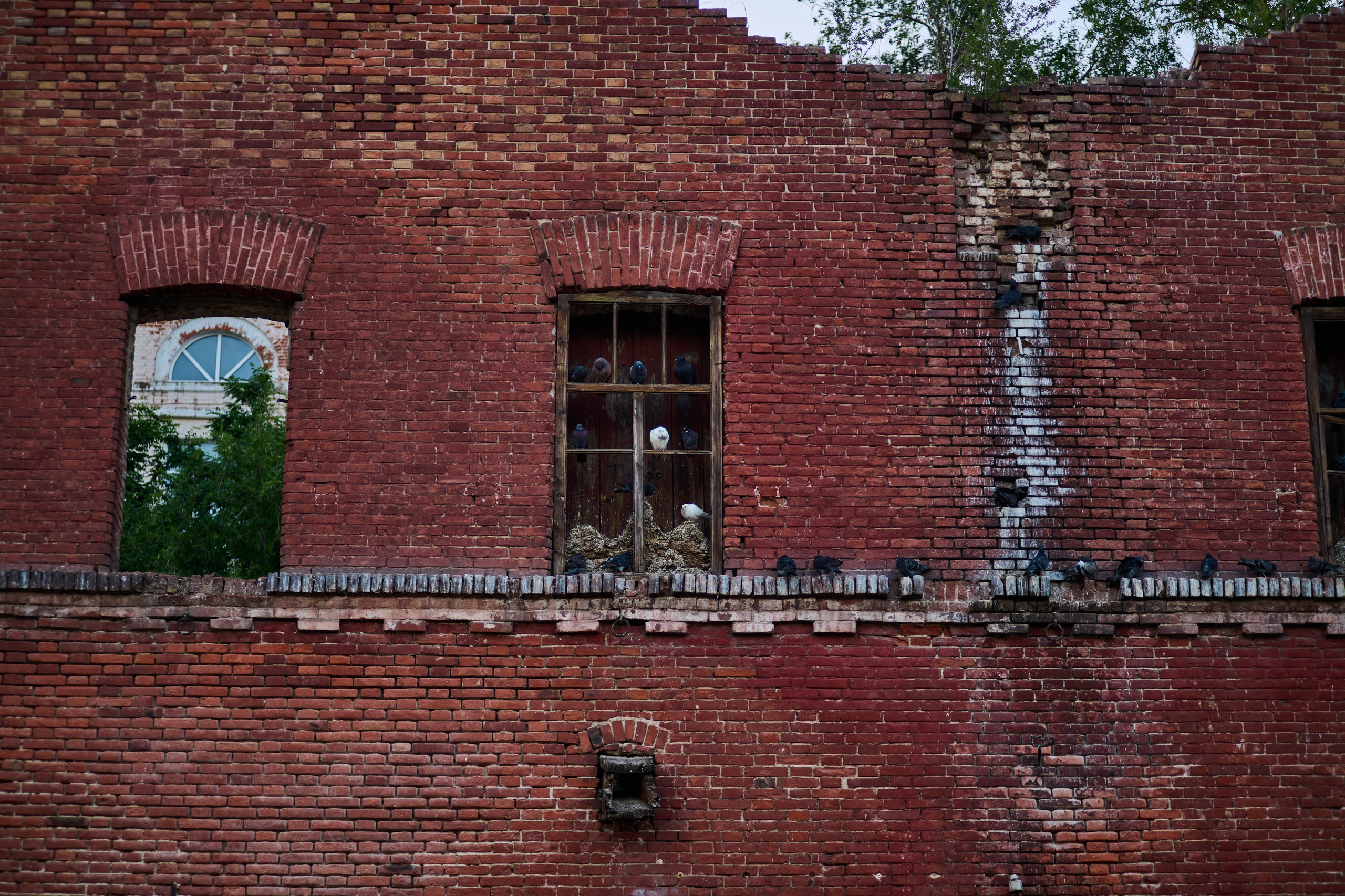 Фото Ростова-на-Дону – авторские снимки южной столицы. Фотограф Самара — репортажная, свадебная, интерьерная съёмка от Ильи Петрова, профессионала своего дела