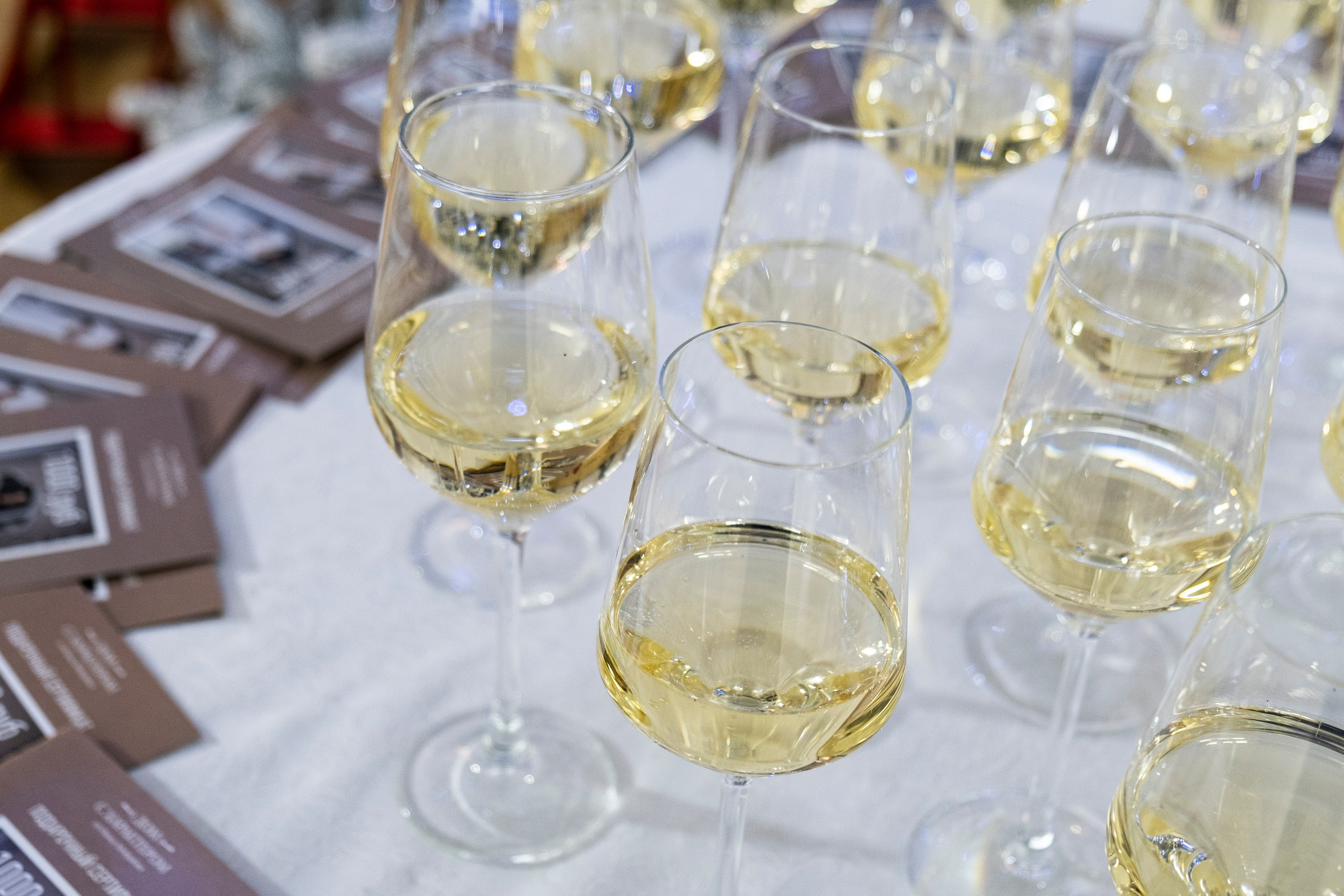 Съемка показов, выставок. Фотограф в Санкт-Петербурге