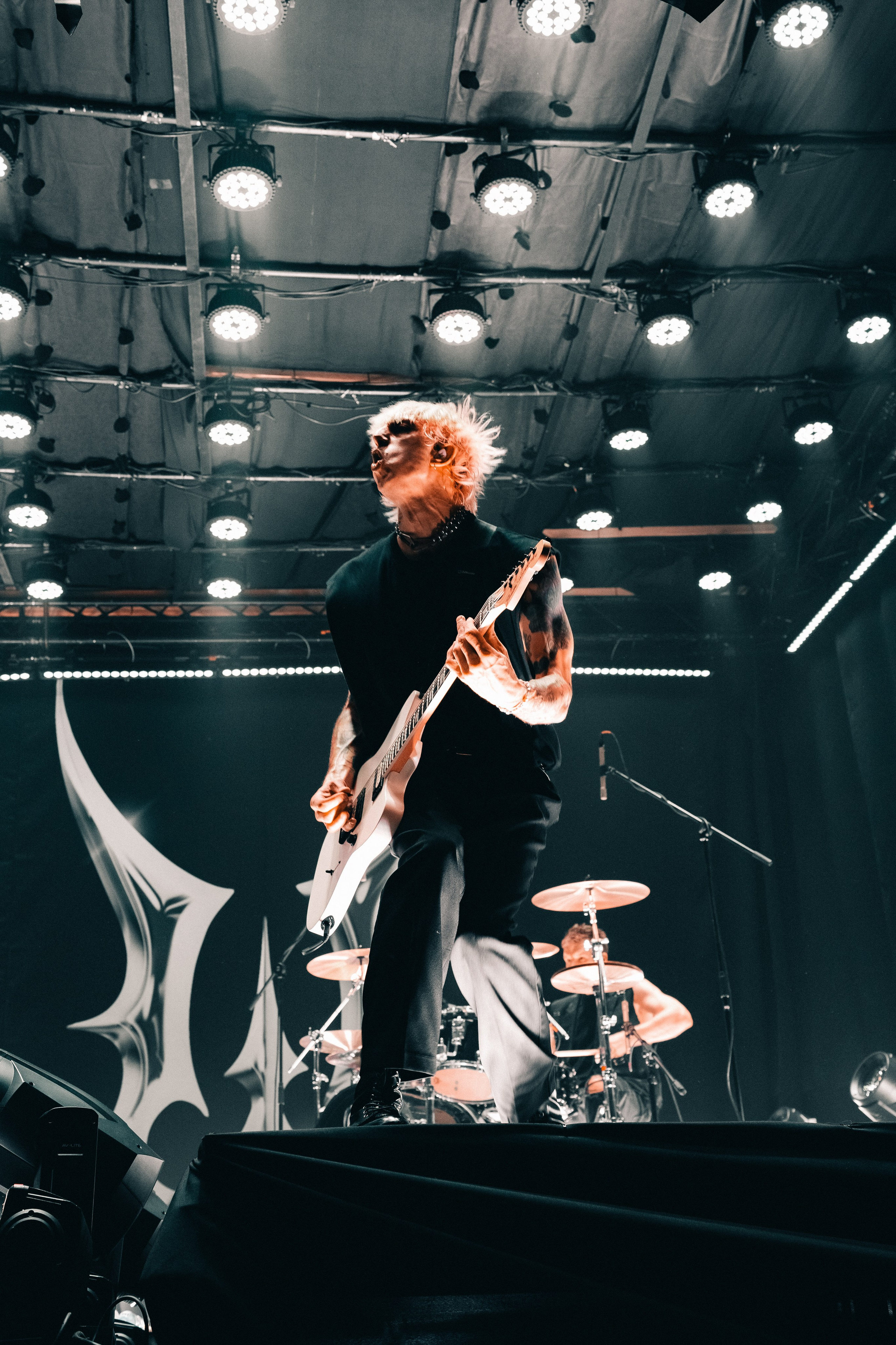 WILDWAYS. PASHAHARCE PHOTOGRAPHER & VIDEOGRAPHER