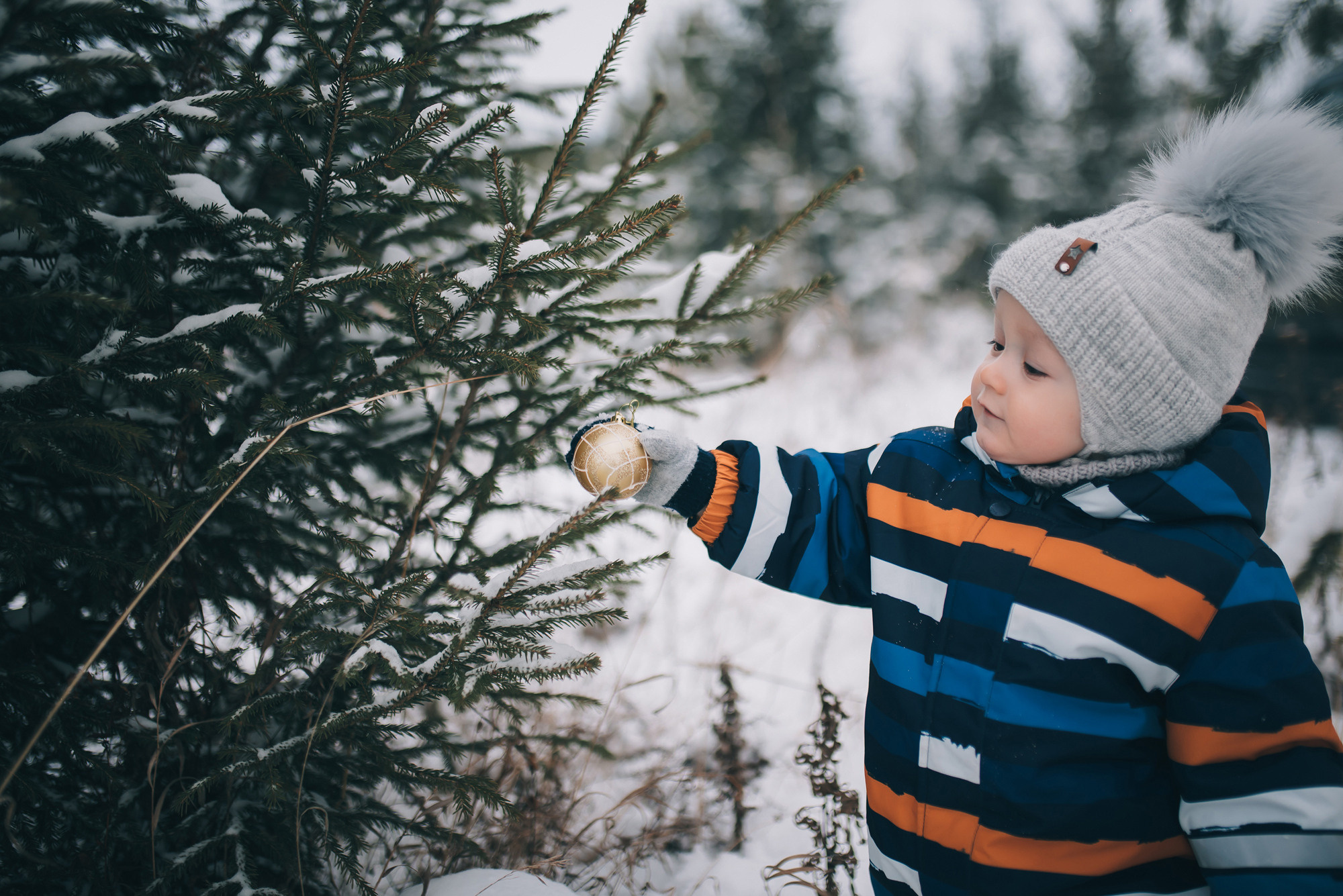 Зимняя семейная фотосессия. Фотограф Игорь Гуменников Удмуртия Шаркан