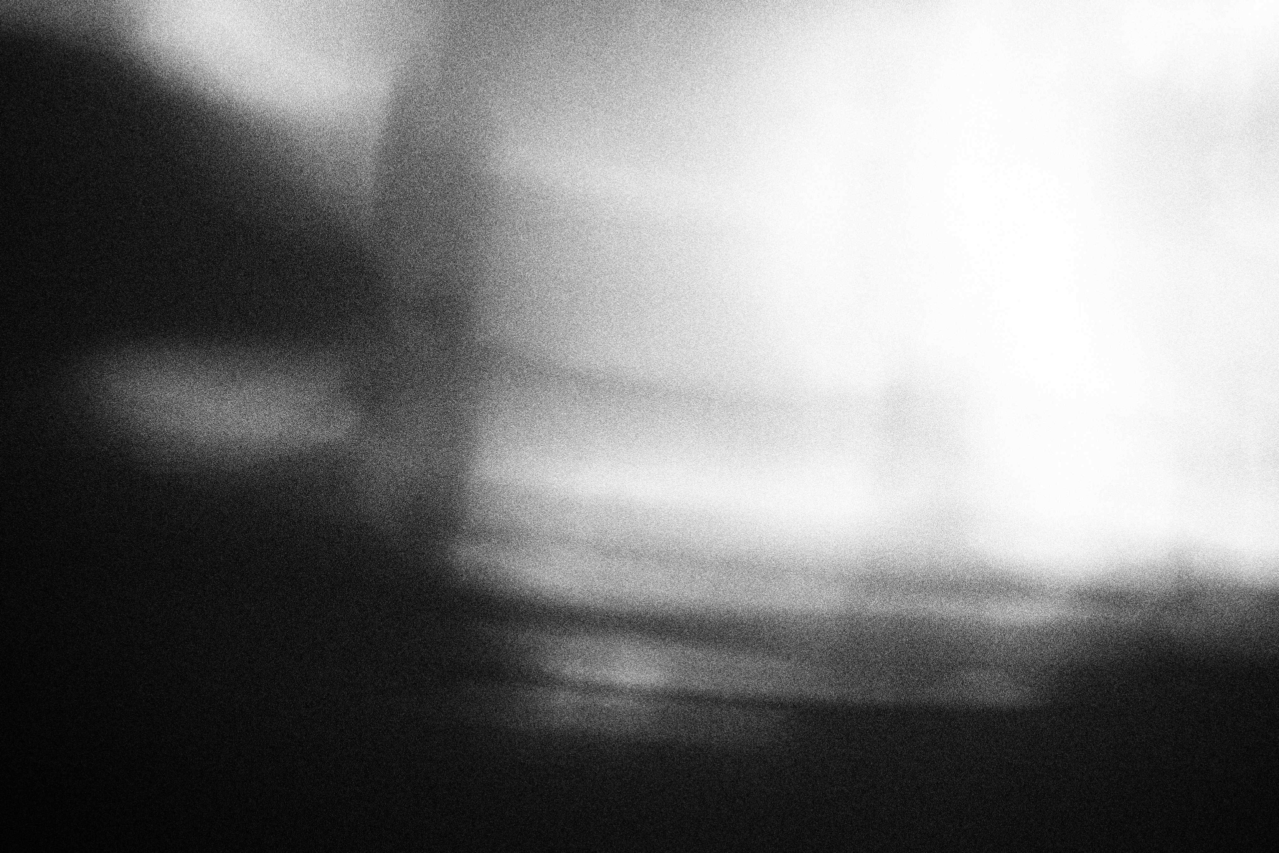 «Видеть. Чувствовать. Сохранять»