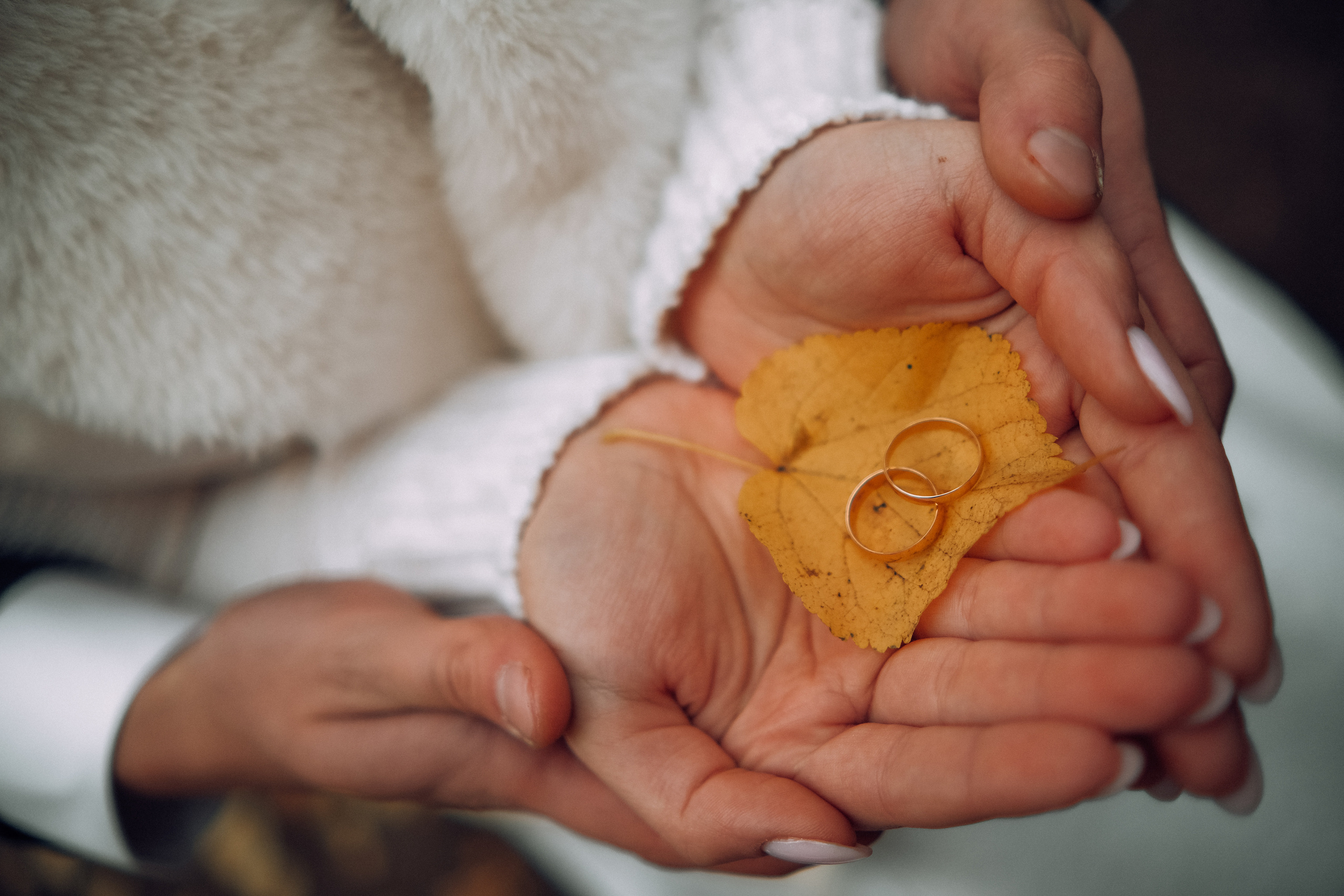 Филипп и Алиса 16.11.2022. Nattie.ph