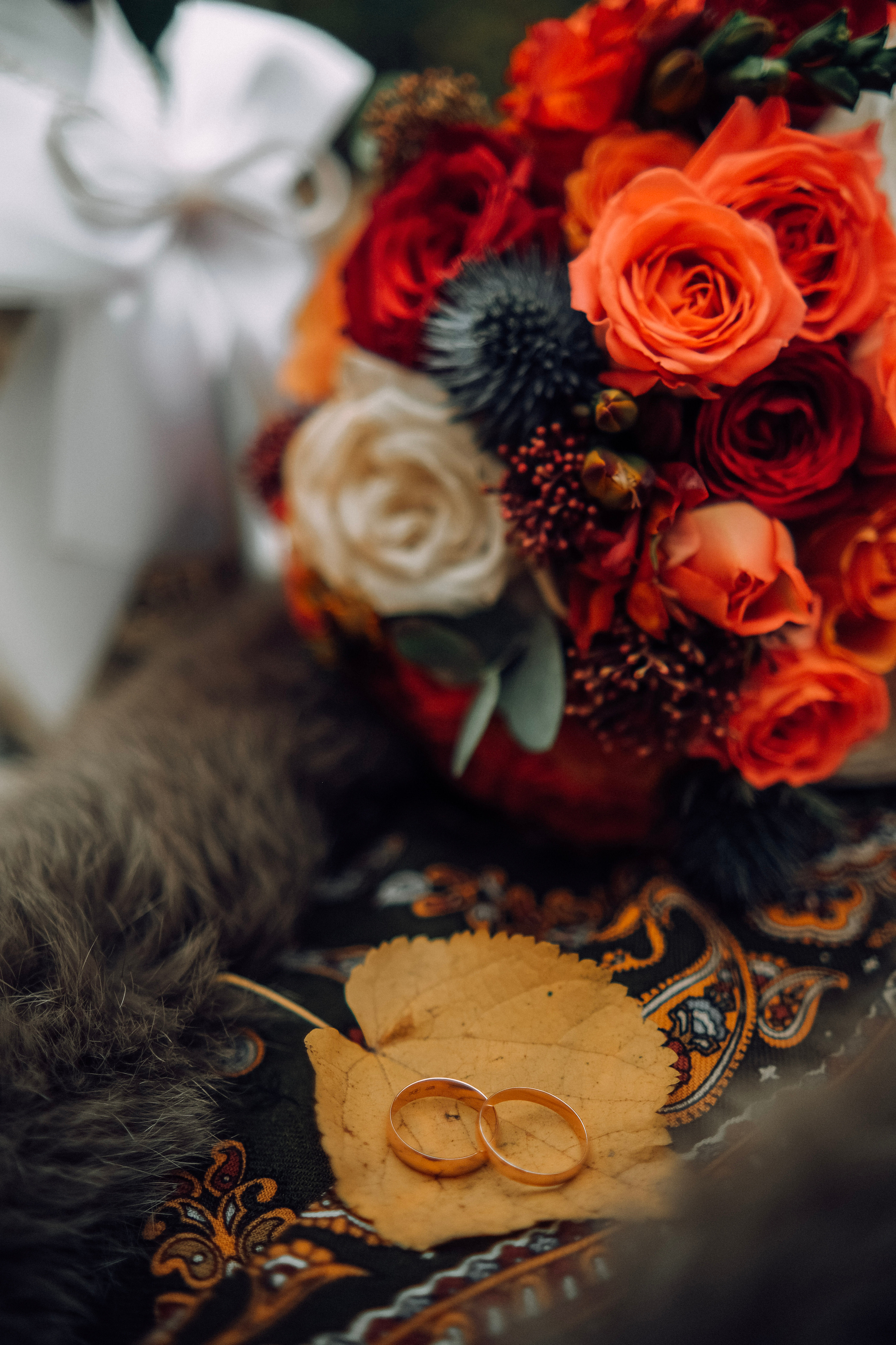 Филипп и Алиса 16.11.2022. Nattie.ph