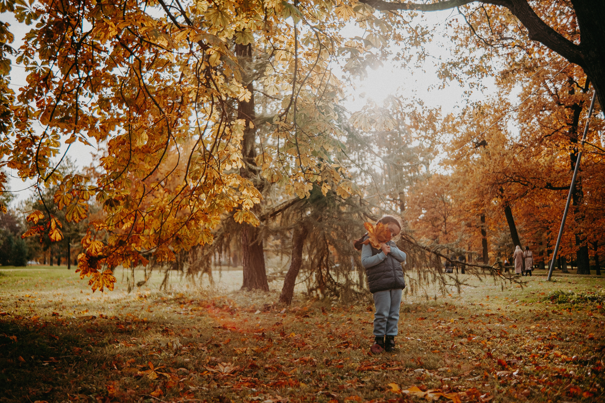 Малышка Софа. Nattie.ph