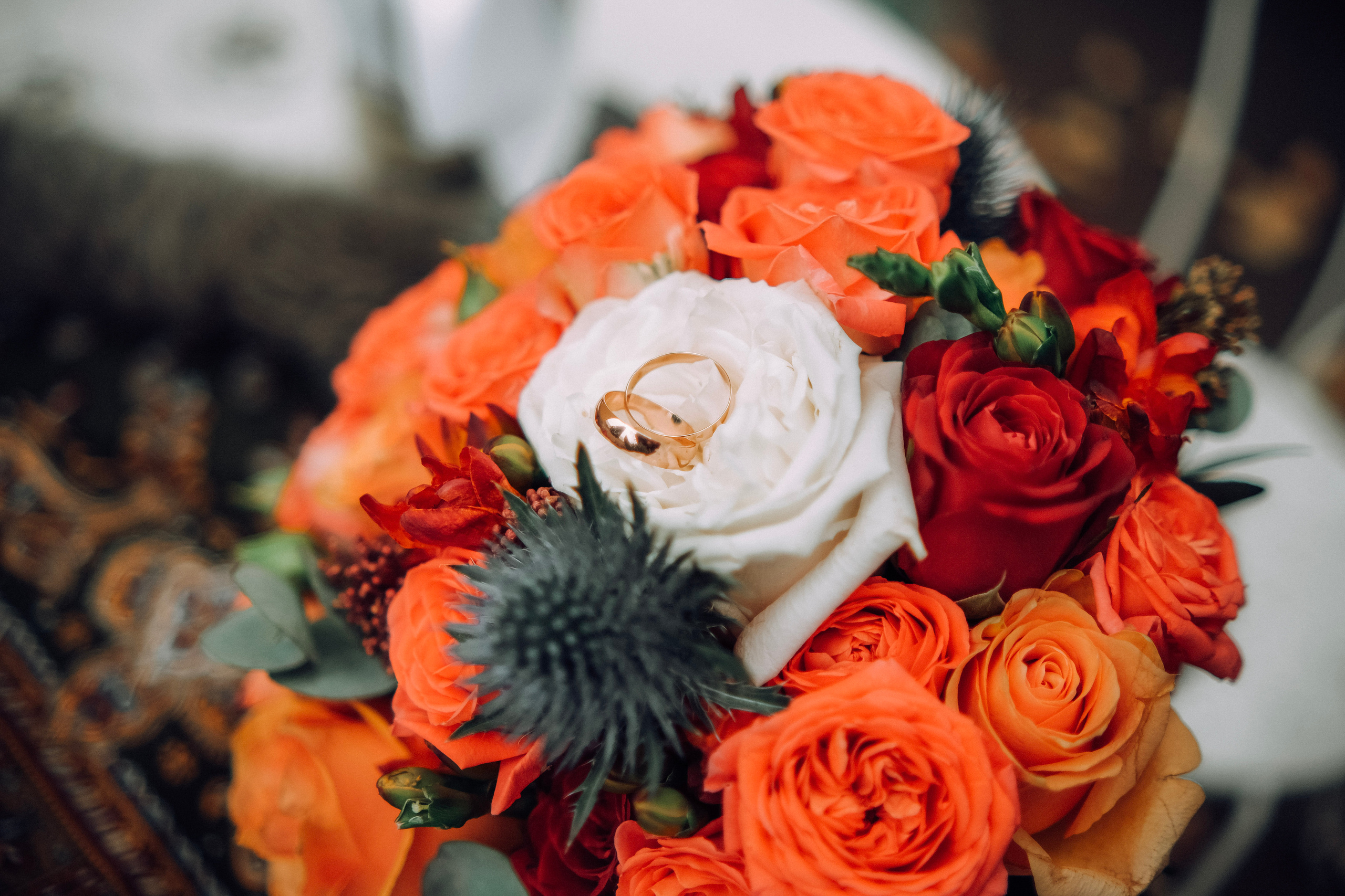 Филипп и Алиса 16.11.2022. Nattie.ph