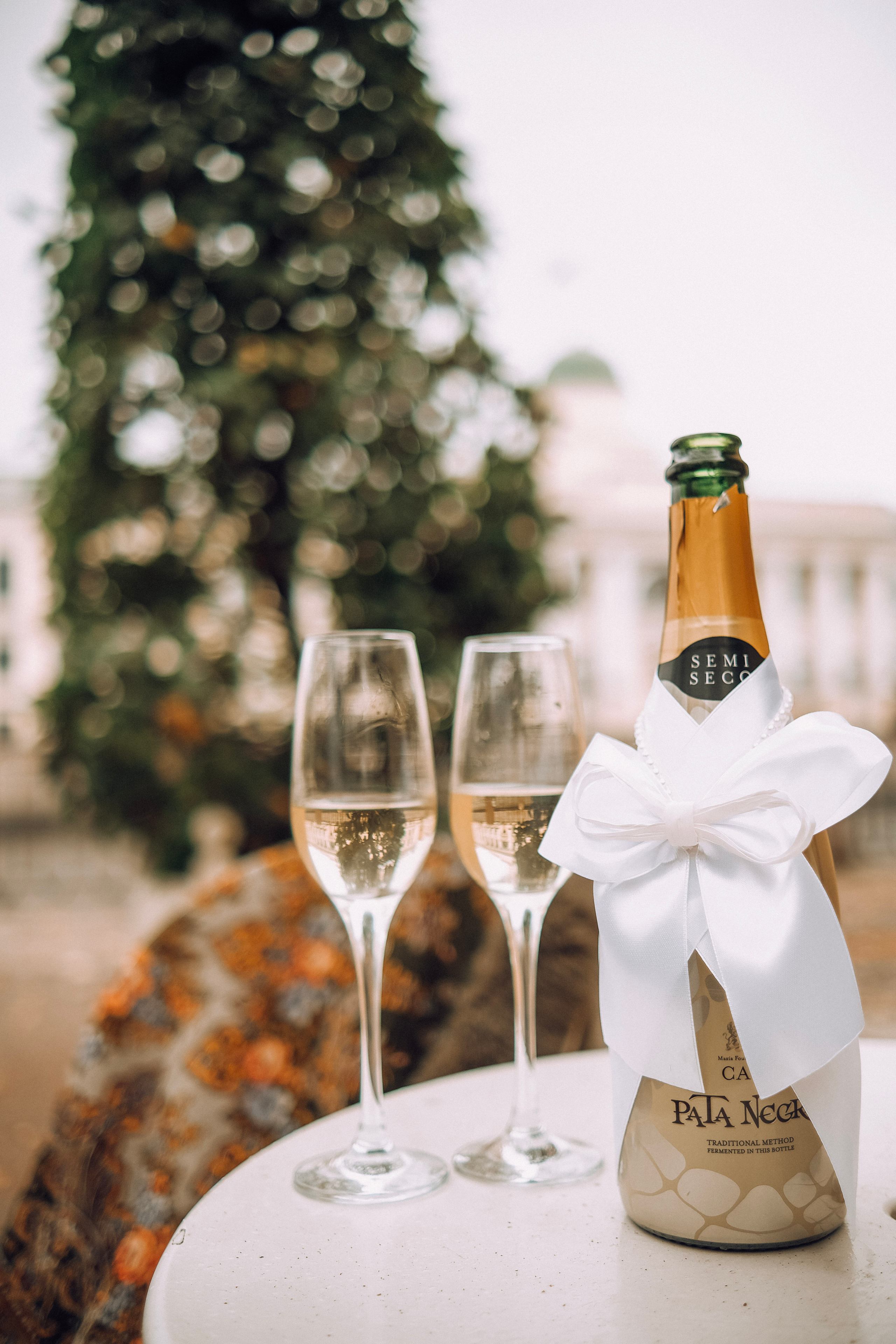 Филипп и Алиса 16.11.2022. Nattie.ph