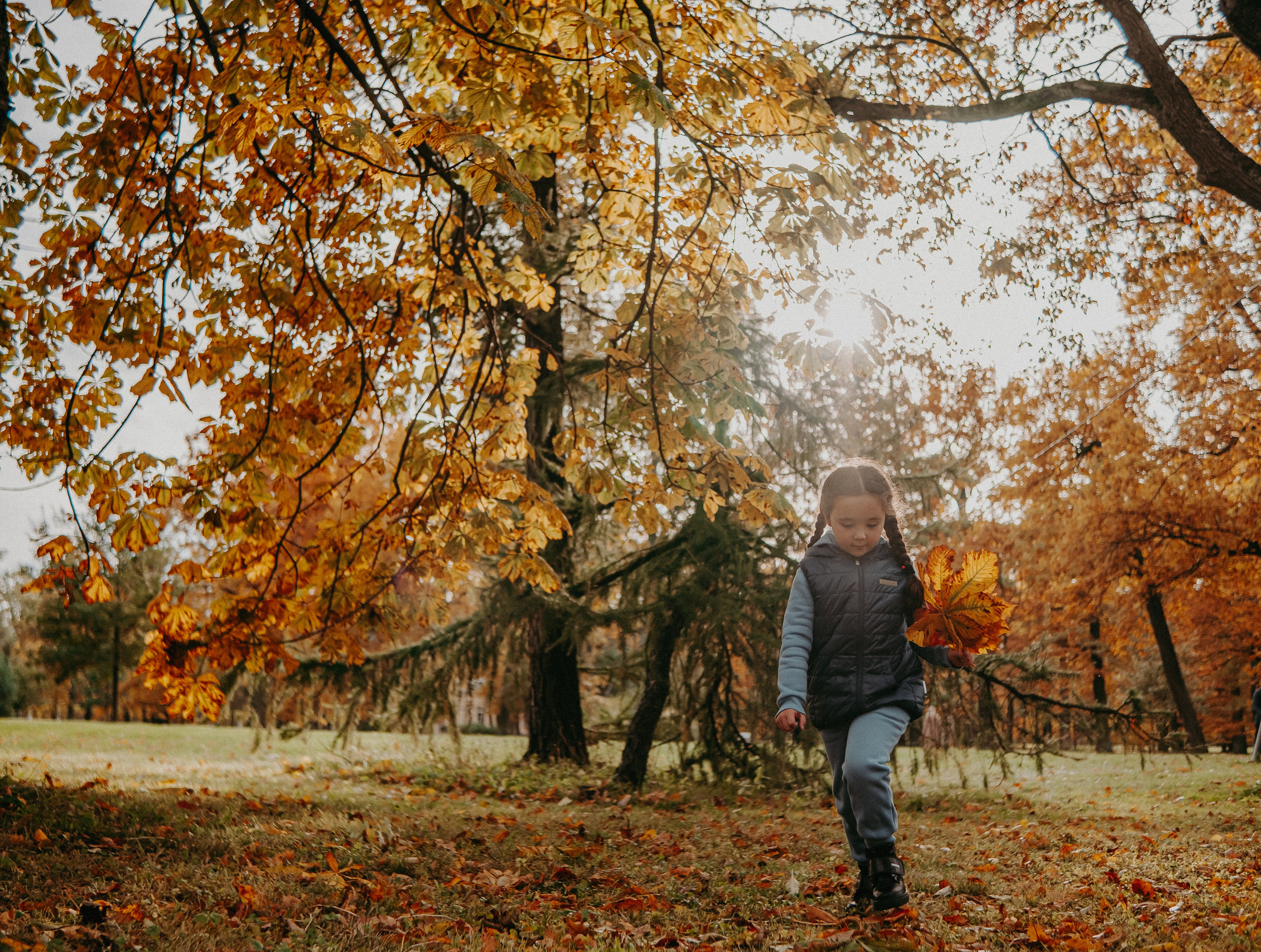 Малышка Софа. Nattie.ph