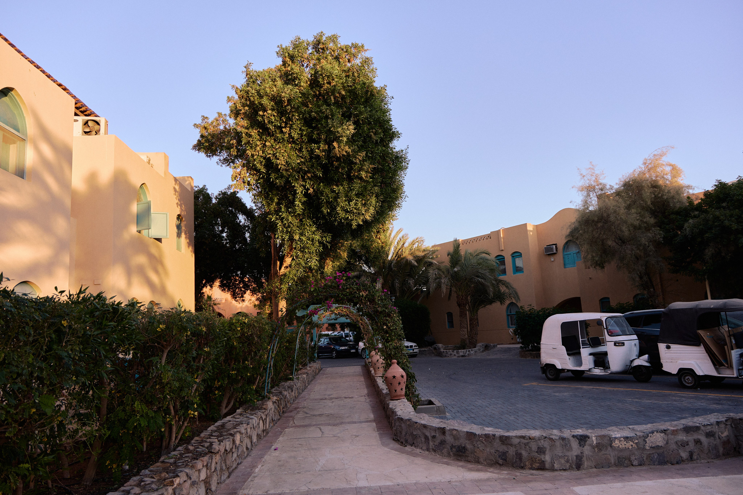 Другое 3. Jorgis — фотограф в Хургаде / обучение фотографии