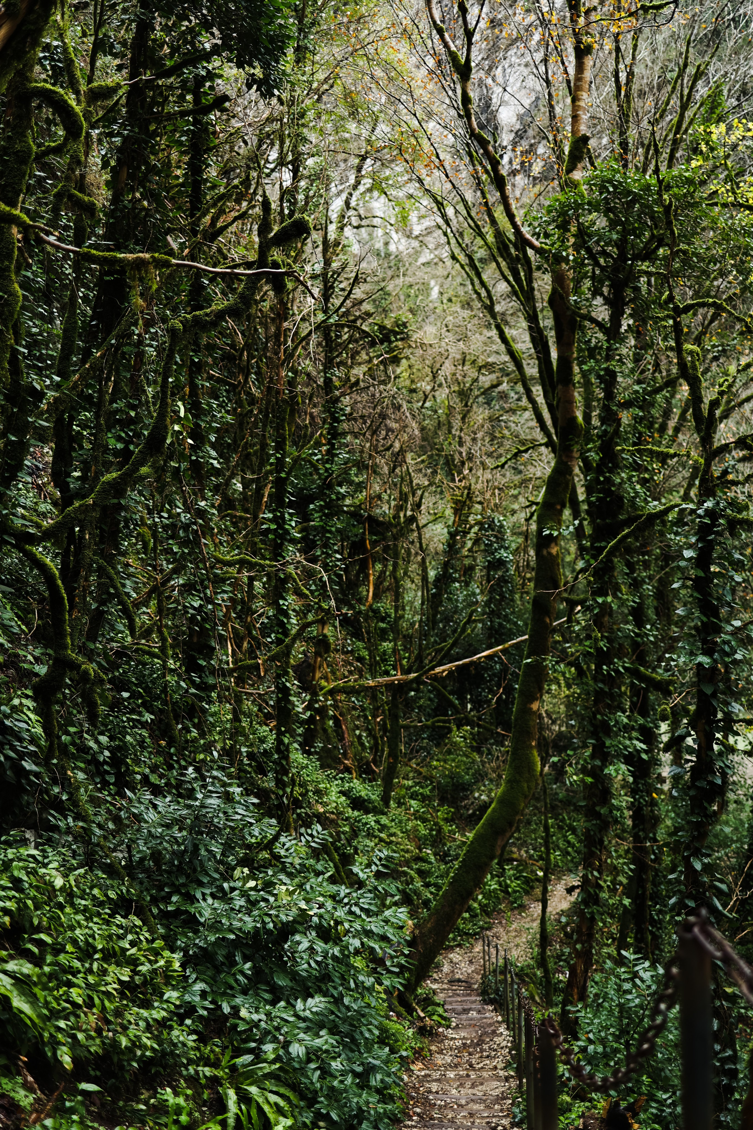 Сочи в декабре. Портретный фотограф в Санкт-Петербурге