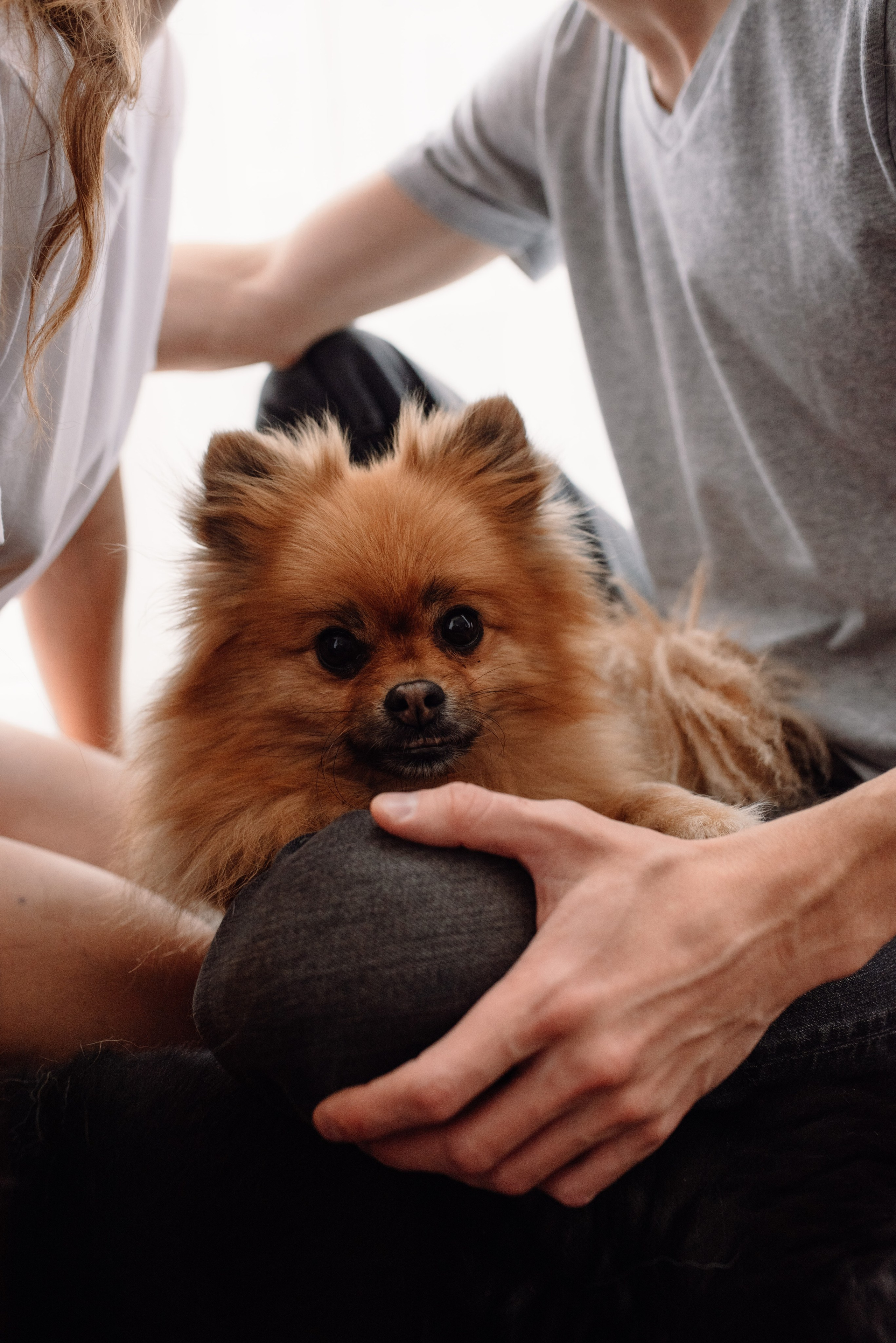 Ульяна и Владимир. Портретный фотограф в Ереване и Челябинске Шаханская Ольга