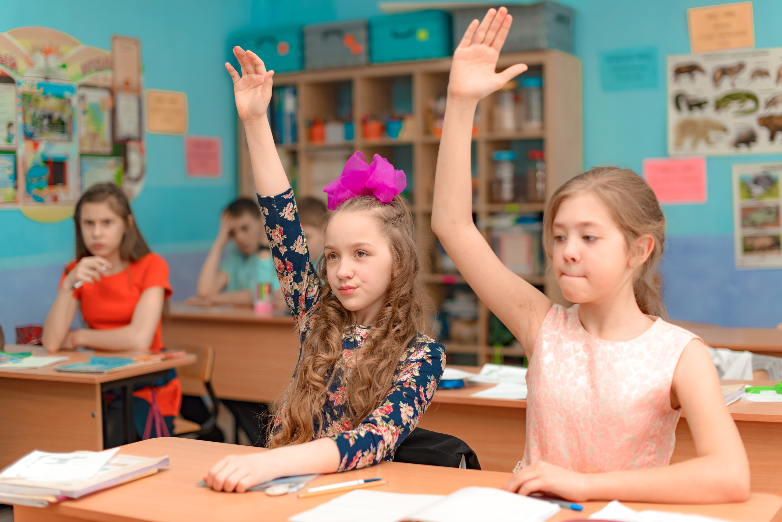 Школьный репортаж. Фотограф, видеооператор Нина Коршунова