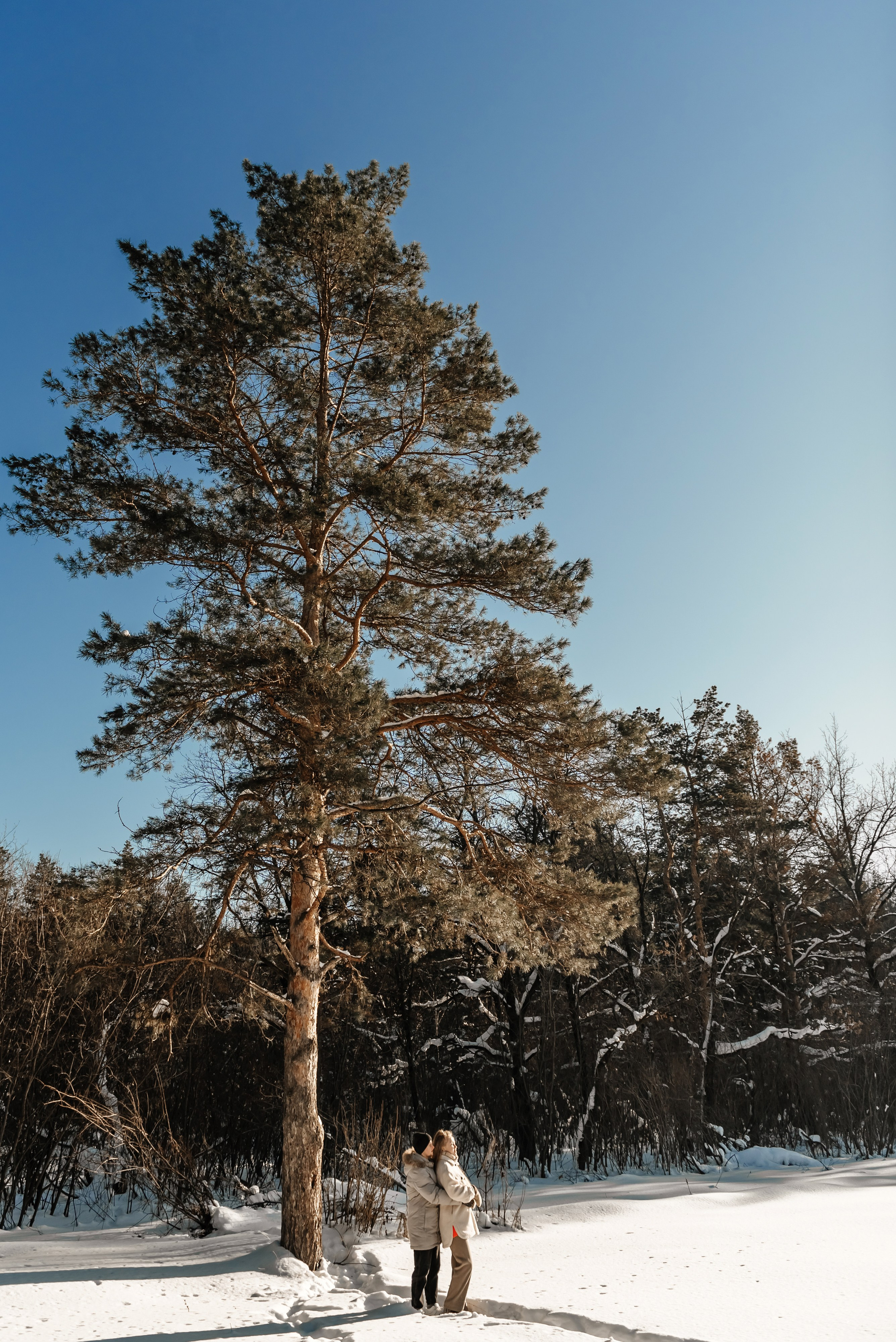 Любовь, мороз и солнце. Ваш свадебный фотограф Владимир Ямулин / Стерлитамак и РБ