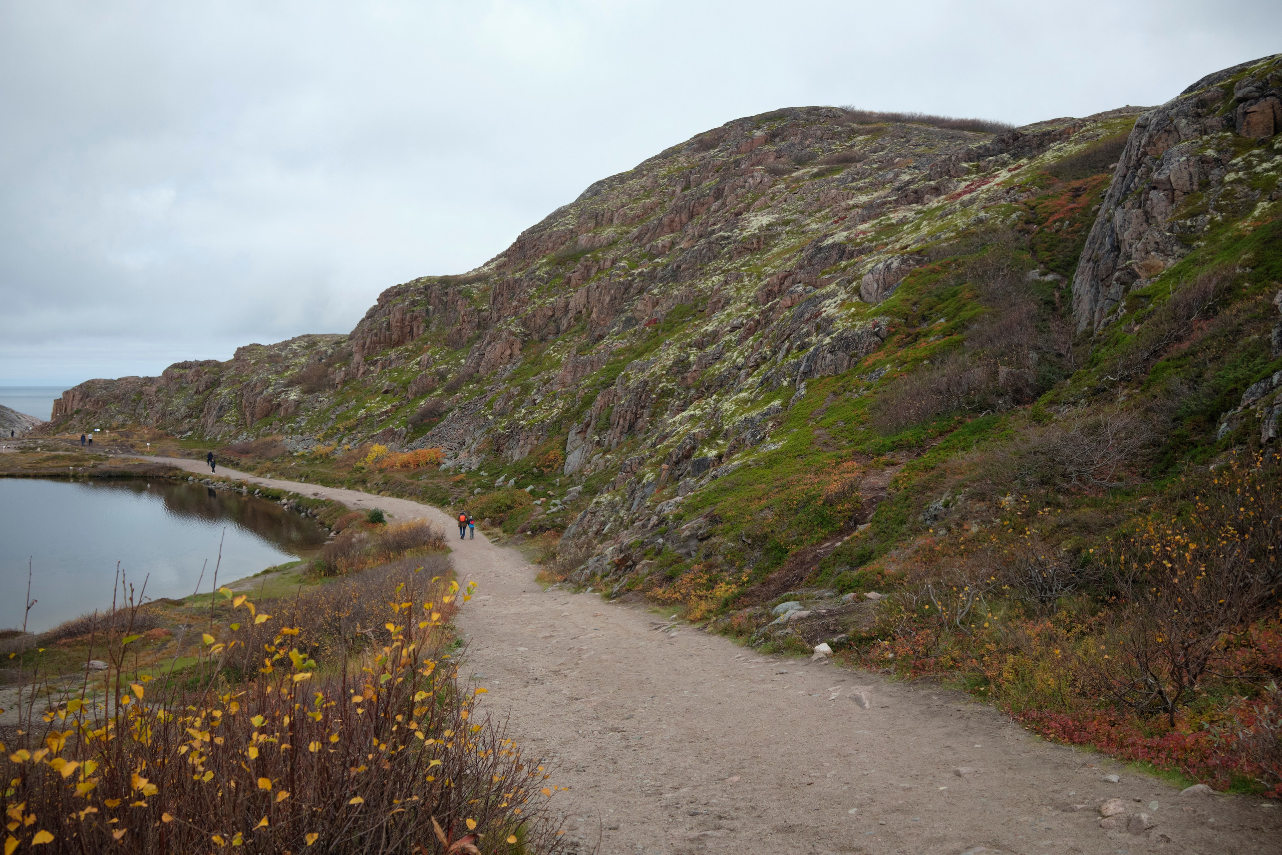 Путешествие в Териберку. Елена Павленко. Фотограф. Москва