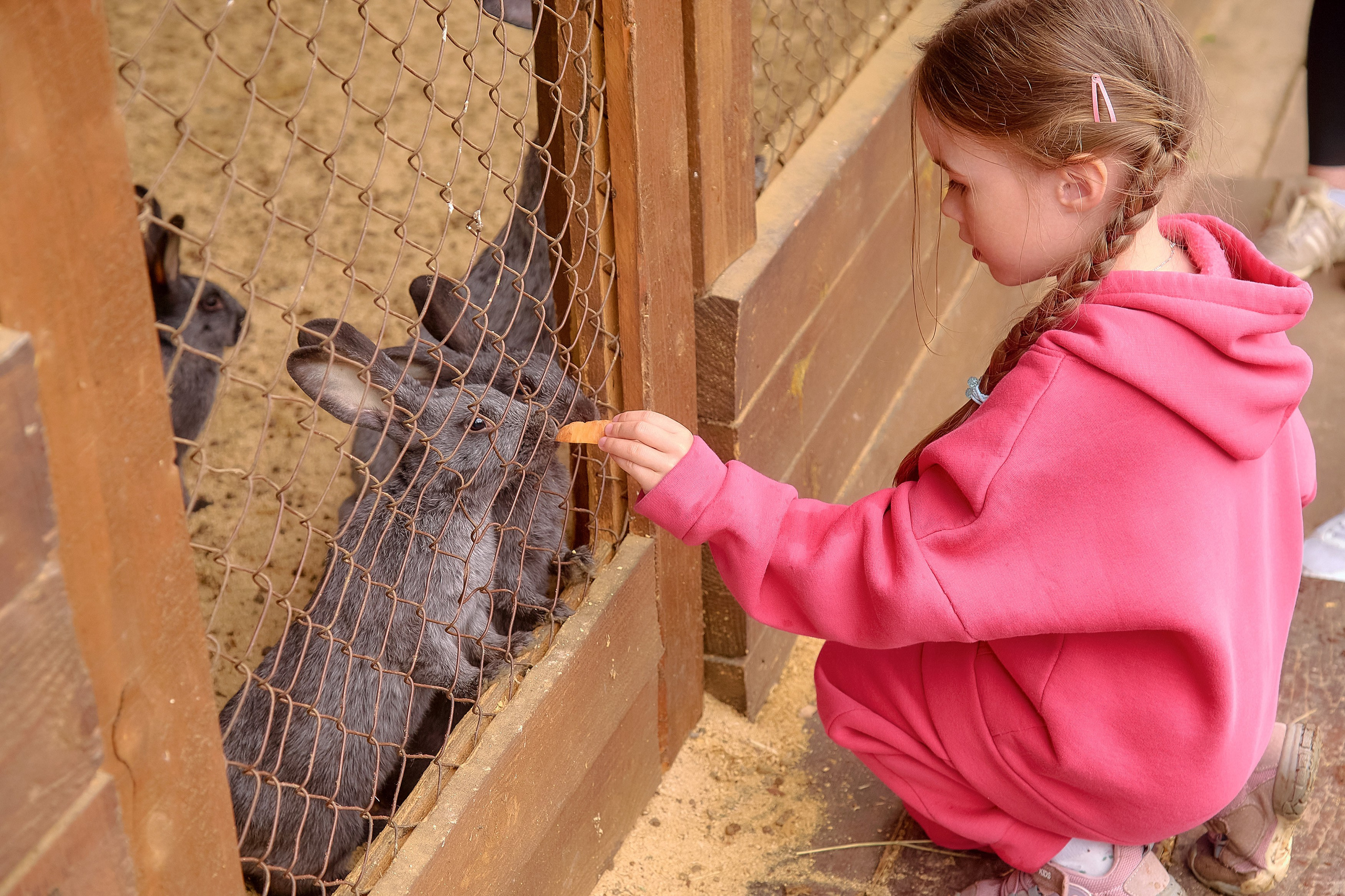 Ранчо «Шарье». Сеть магазинов «Калина-Малина». Фотограф Яковлев Роман — Красноярск