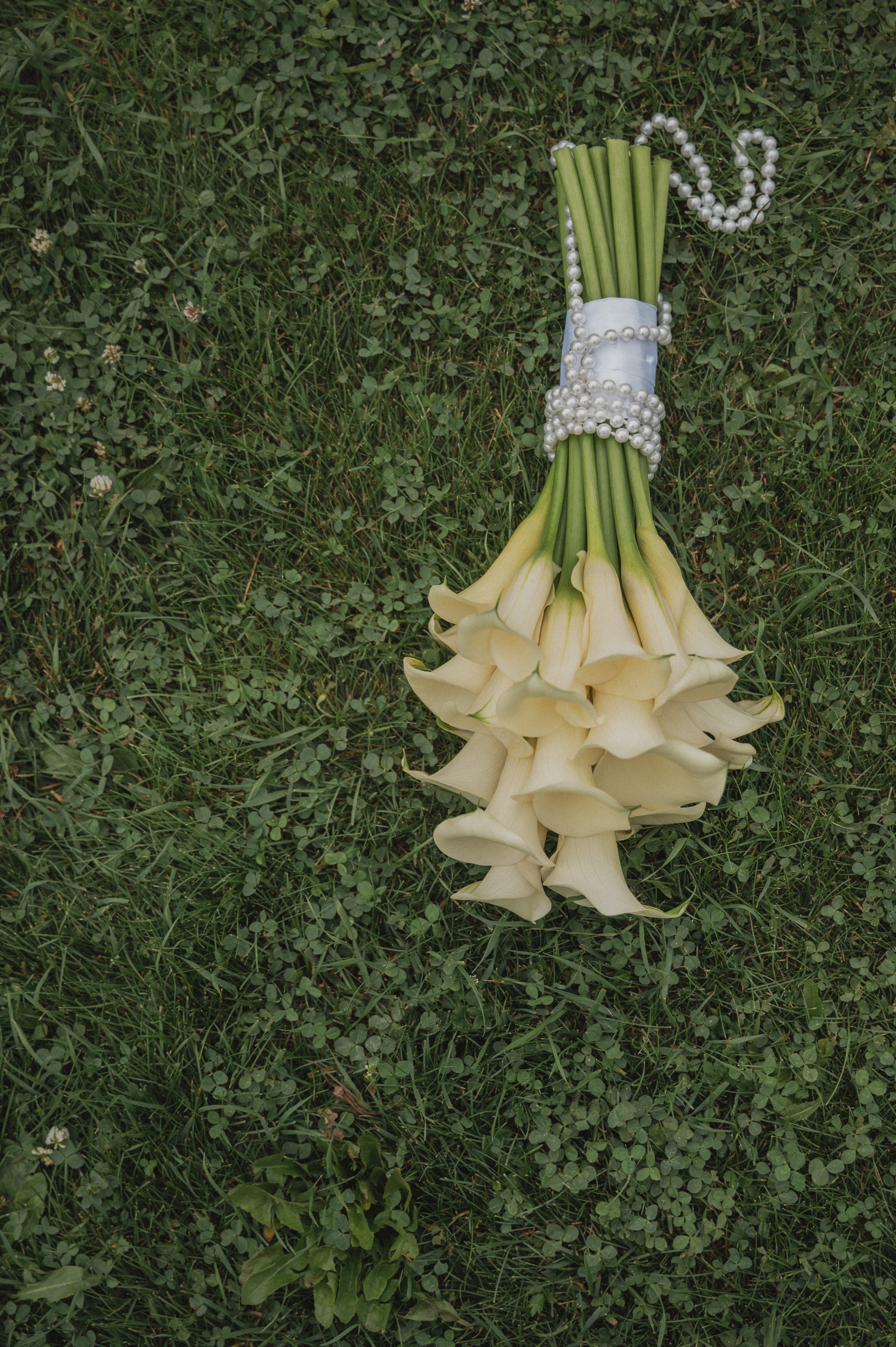 За городом. Свадебный фотограф в Рязани Дзюрак Елизавета