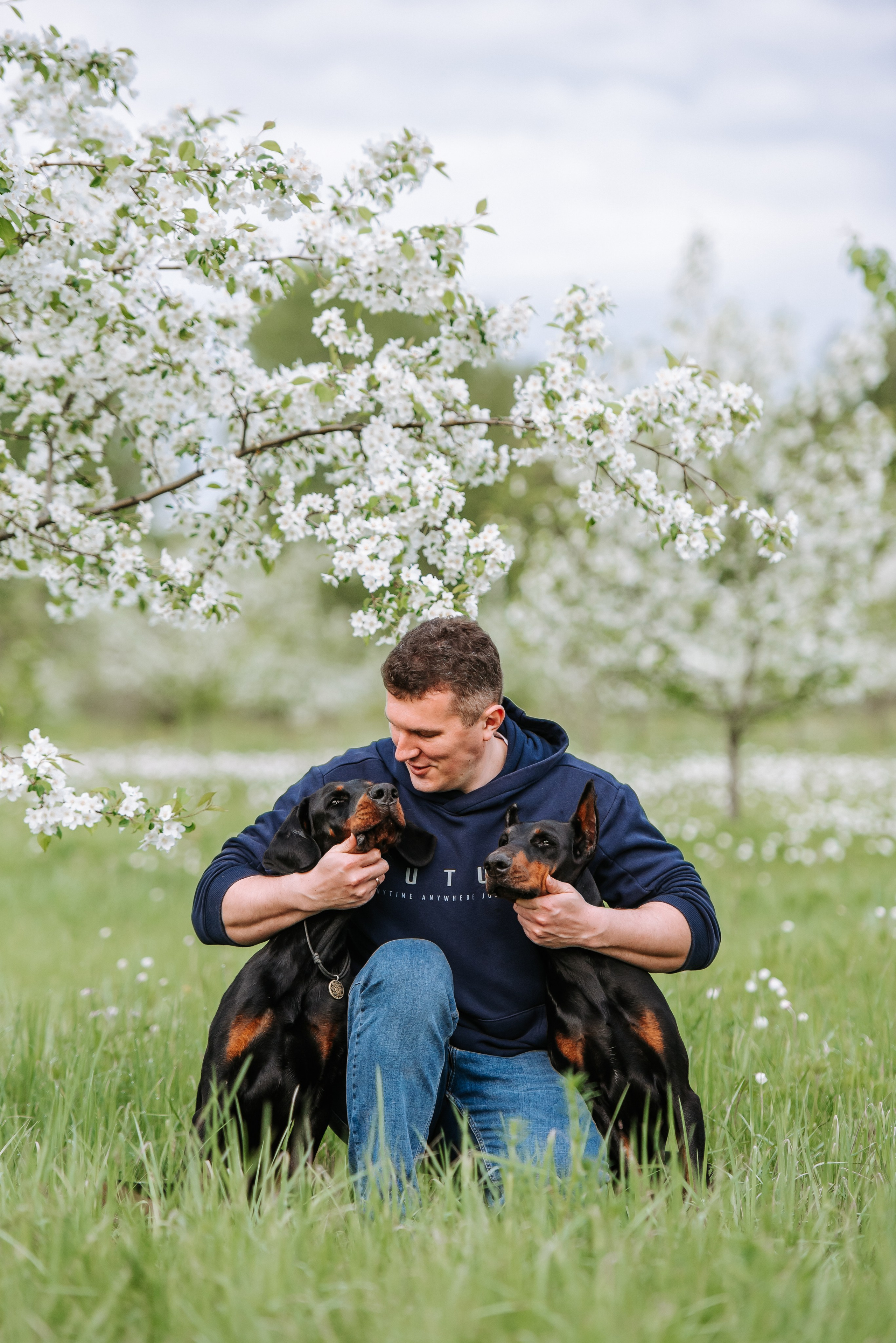 Цветение с доберманами. Фотограф Диана Оленина Красноярск / Братск