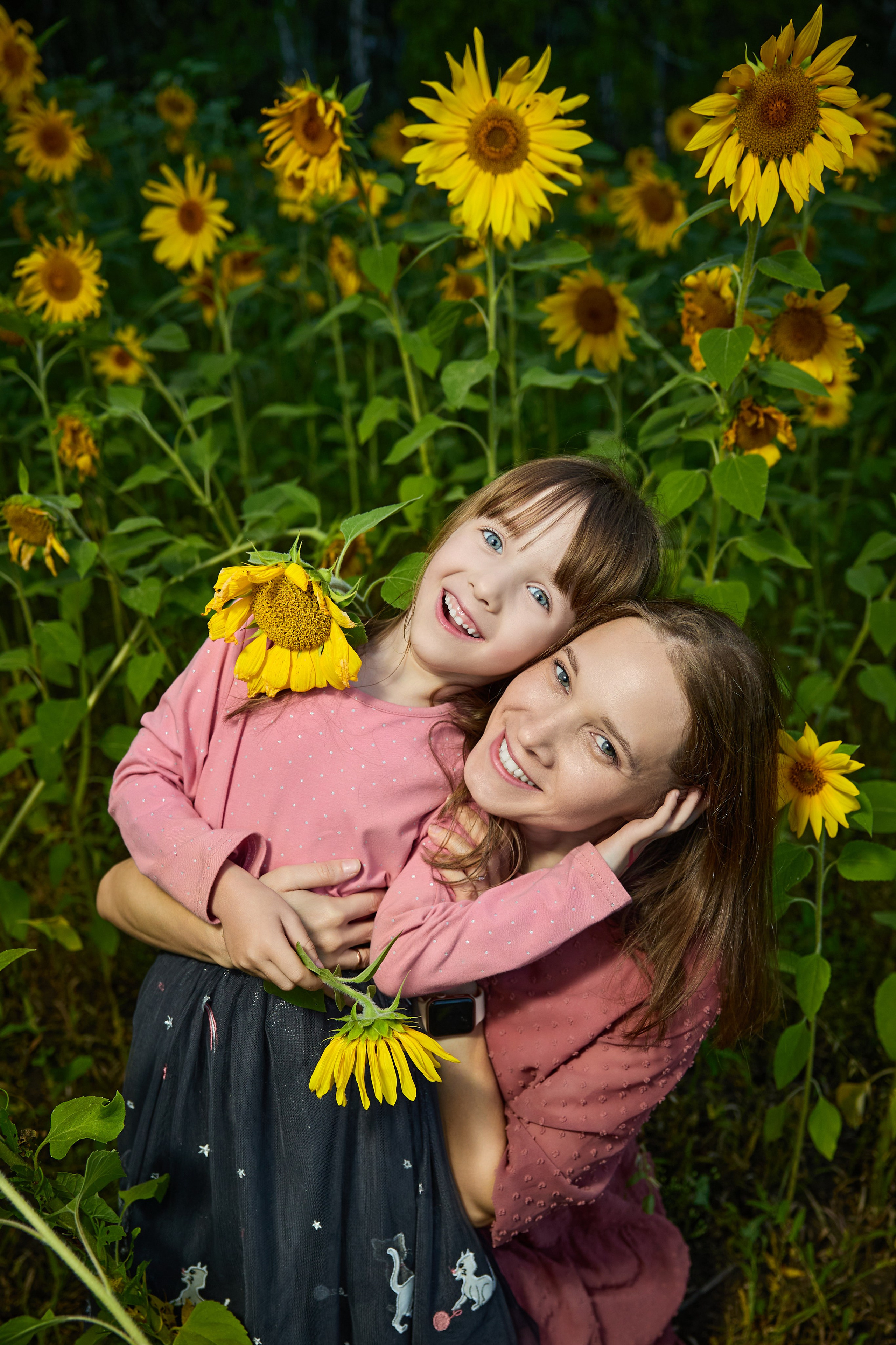 Подсолнухи. Разножанровый Фотограф в Омске Артём Руднев