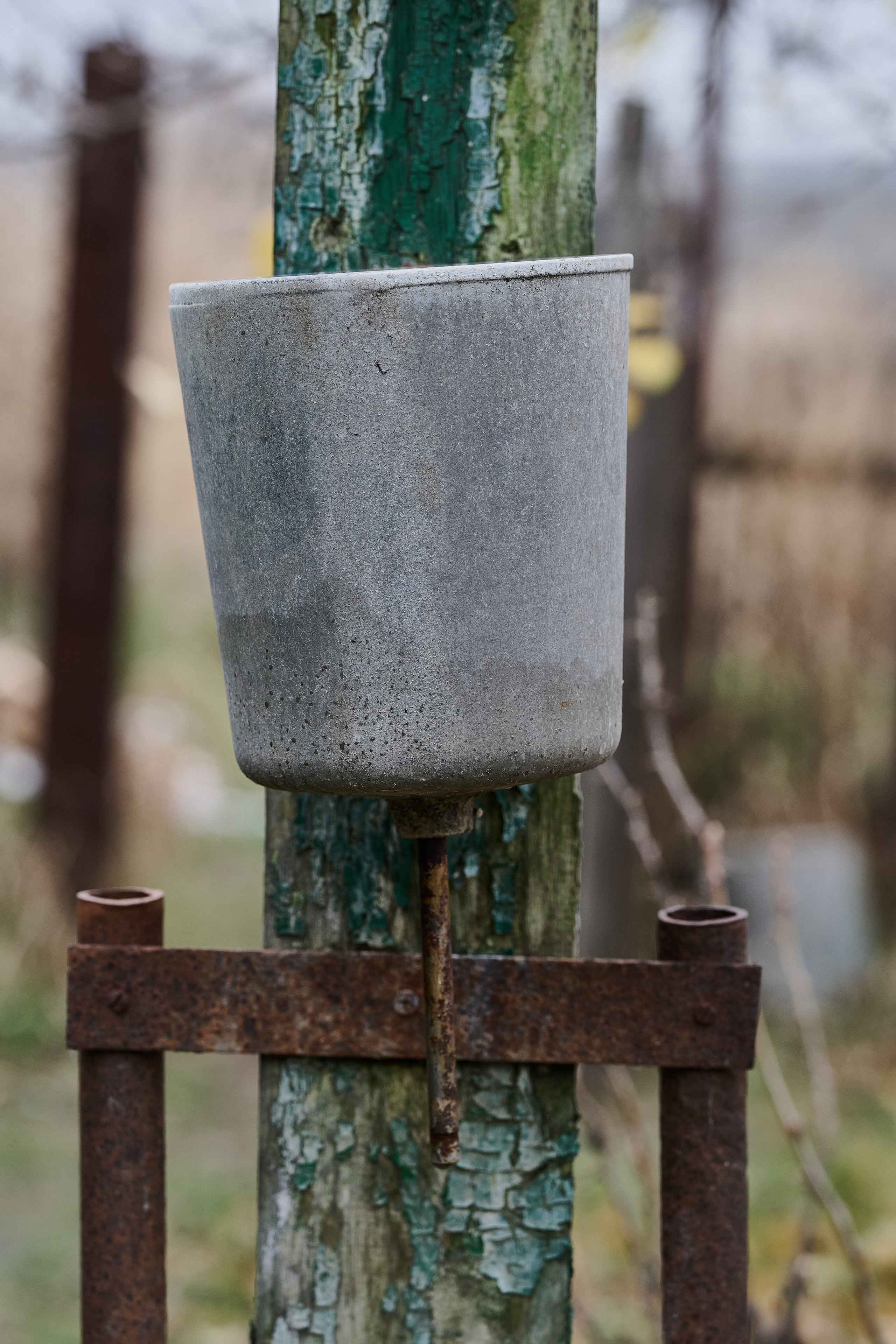 Краснореченское. Луганская область. Фотопроект «Территории»