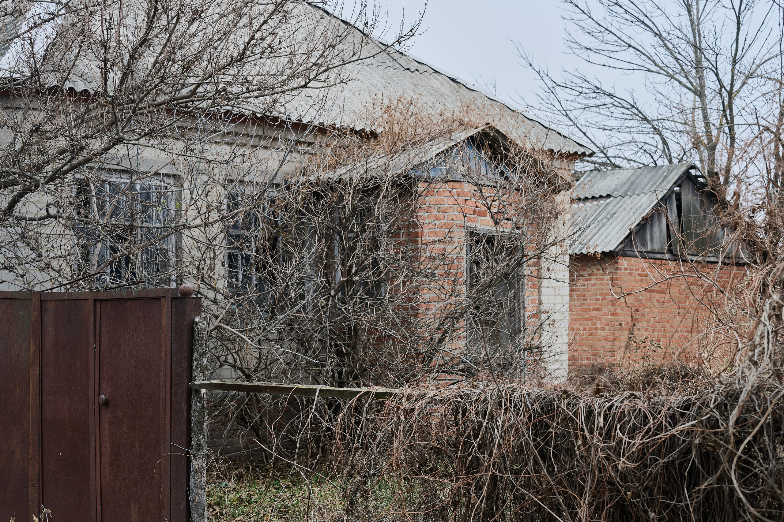 Краснореченское. Луганская область. Фотопроект «Территории»