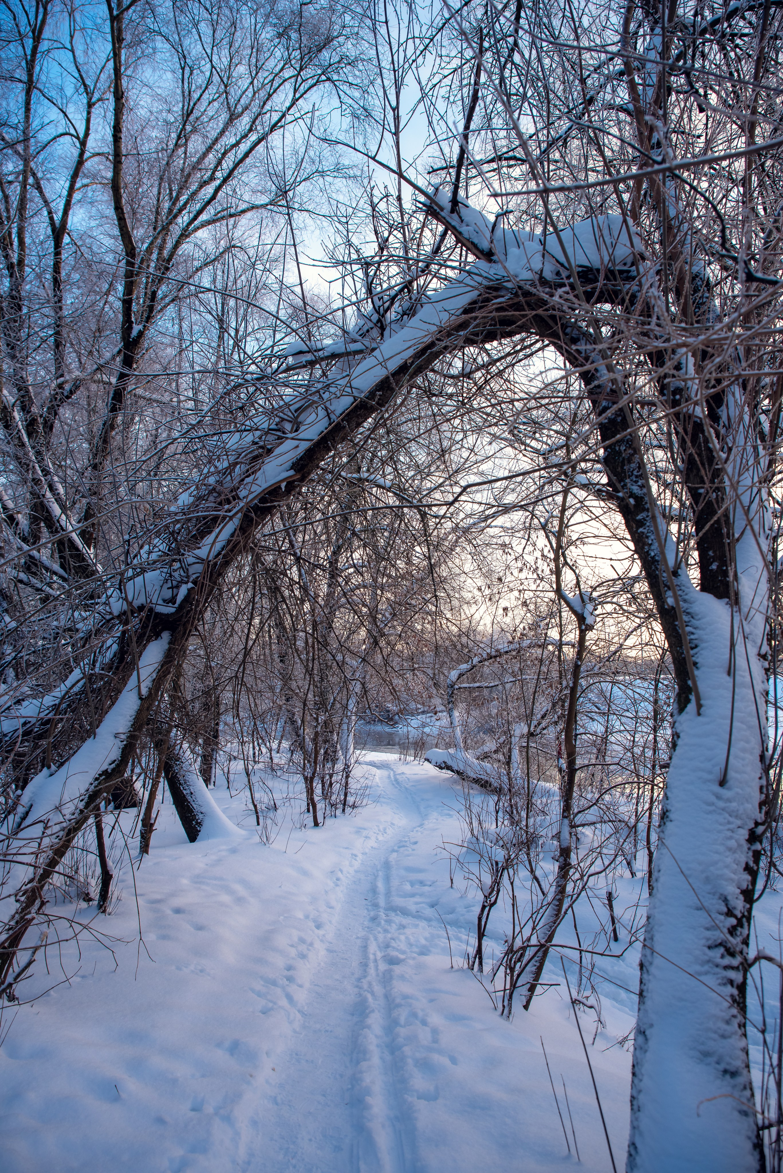 Зимушка зима. Фотограф Крещение Венчание Москва