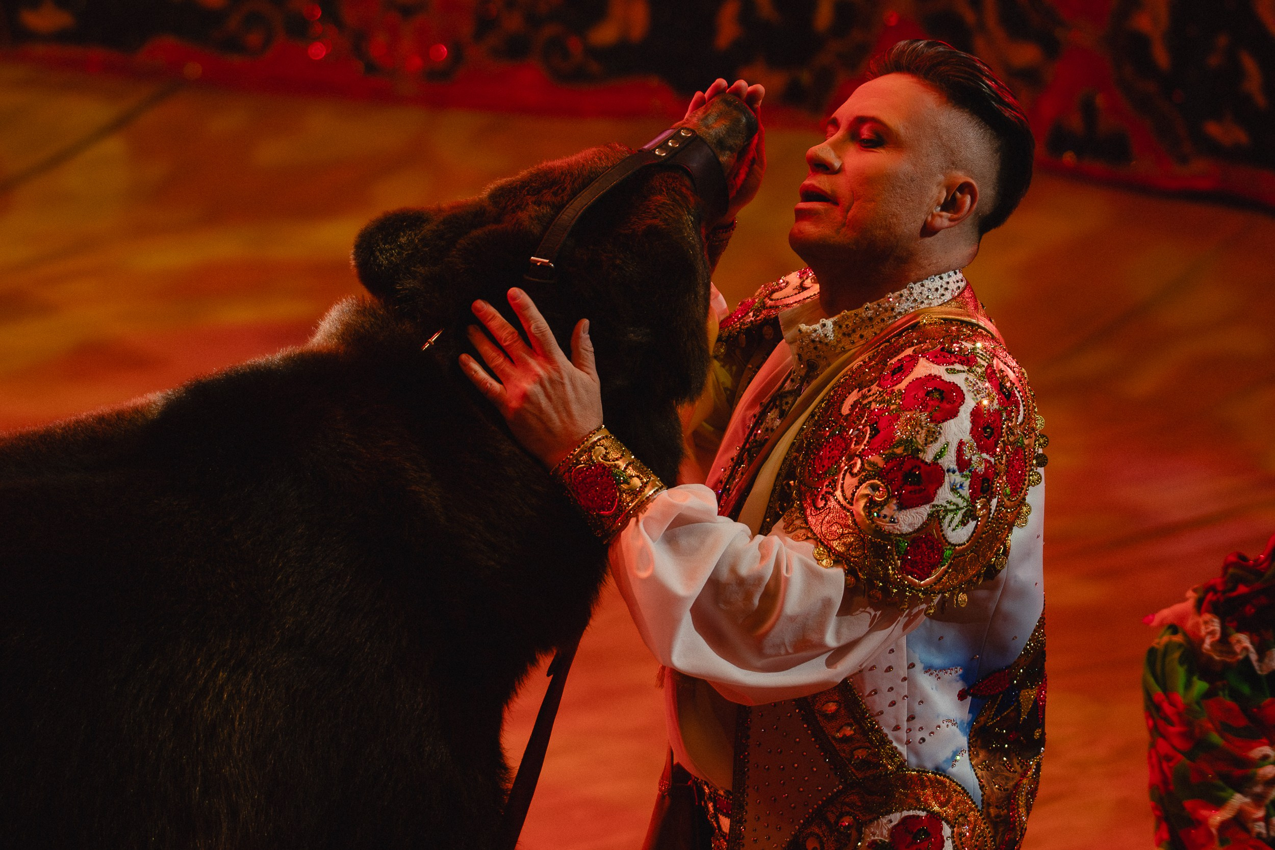 5 Континентов — Пресс-показ в Новосибирском Цирке. Воробьева Ксения — Спортивный и танцевальный фотограф Новосибирск