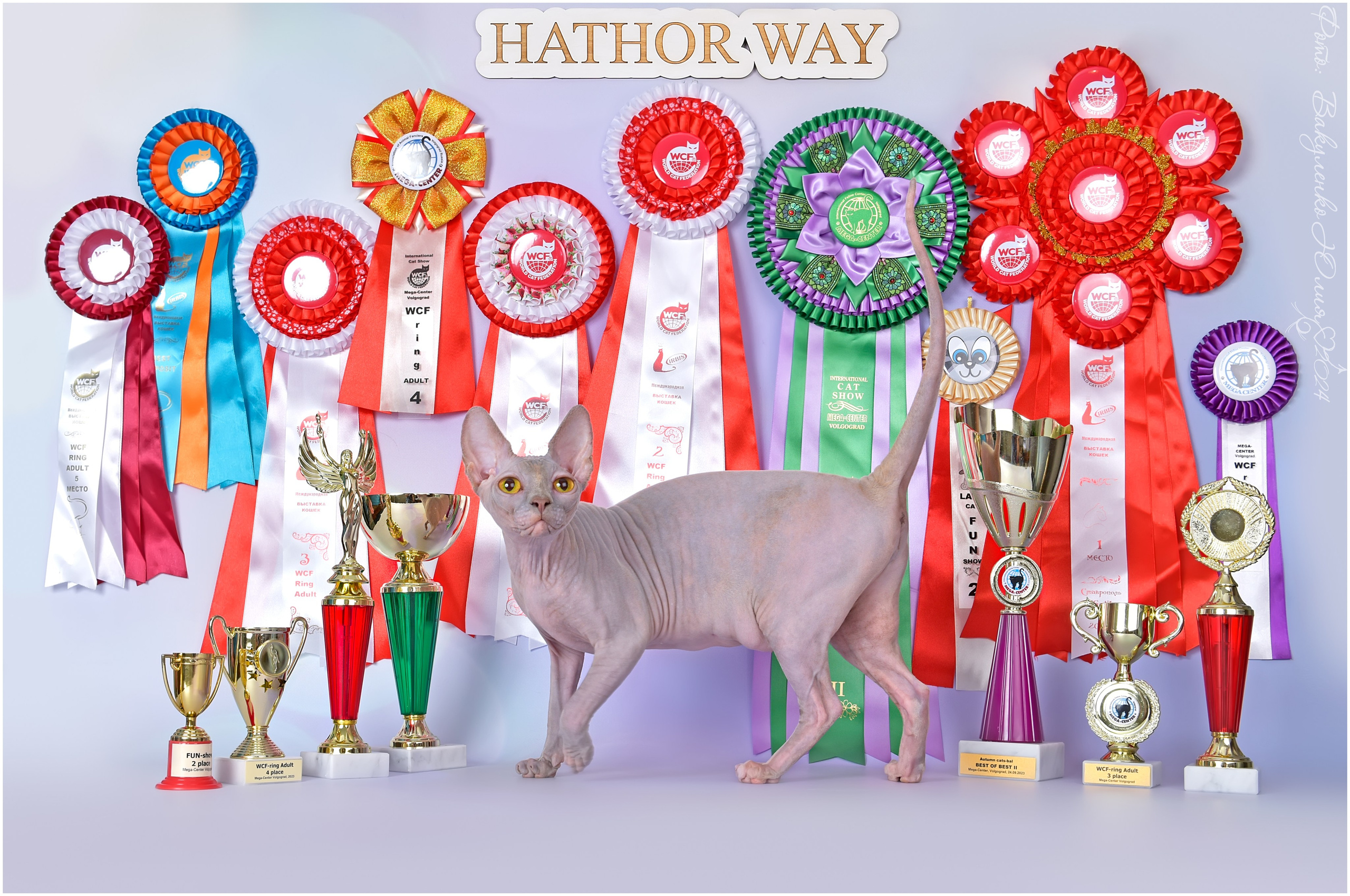 Взрослые. Фотограф анималист | семейный Юлия Вакуленко, г. Краснодар