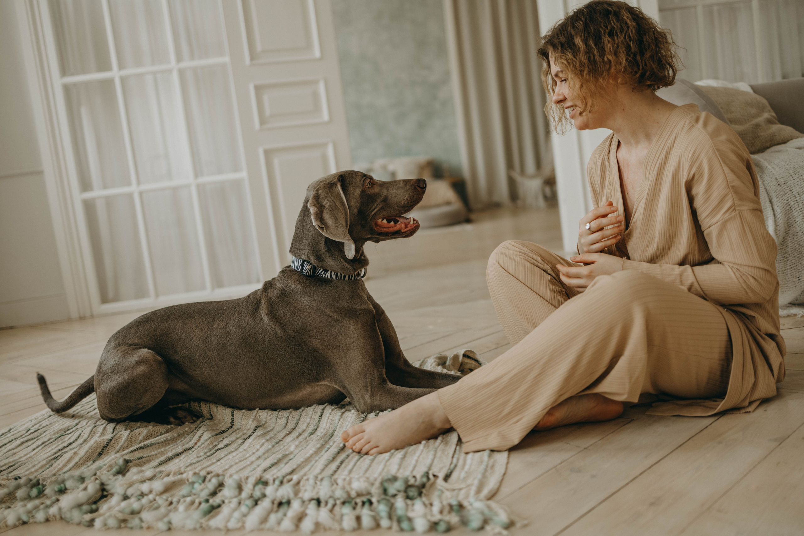 Фотосессия в студии с собакой. Фотограф-анималист в Екатеринбурге | Кристина