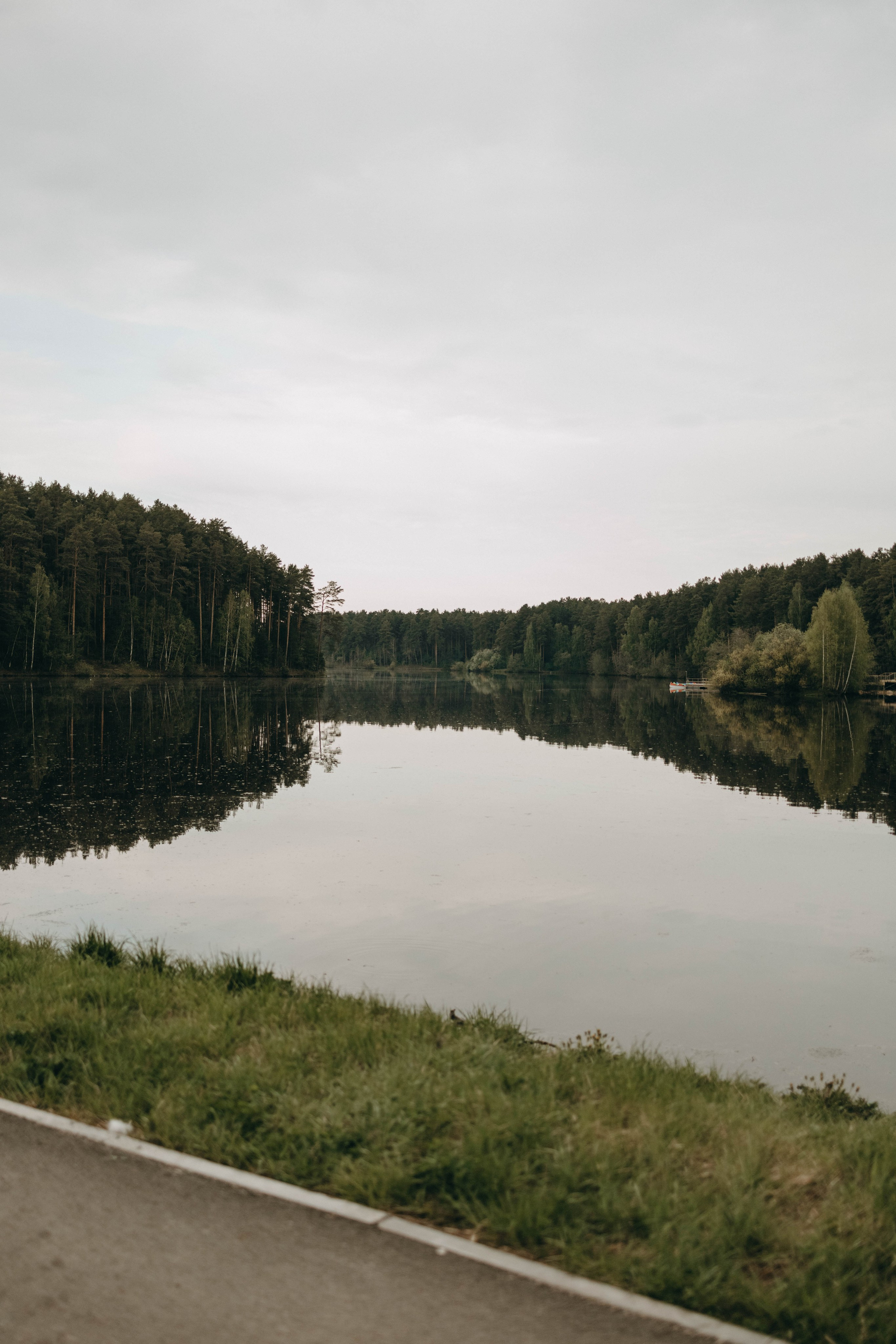 Зевс и его семья. Фотограф-анималист в Екатеринбурге | Кристина