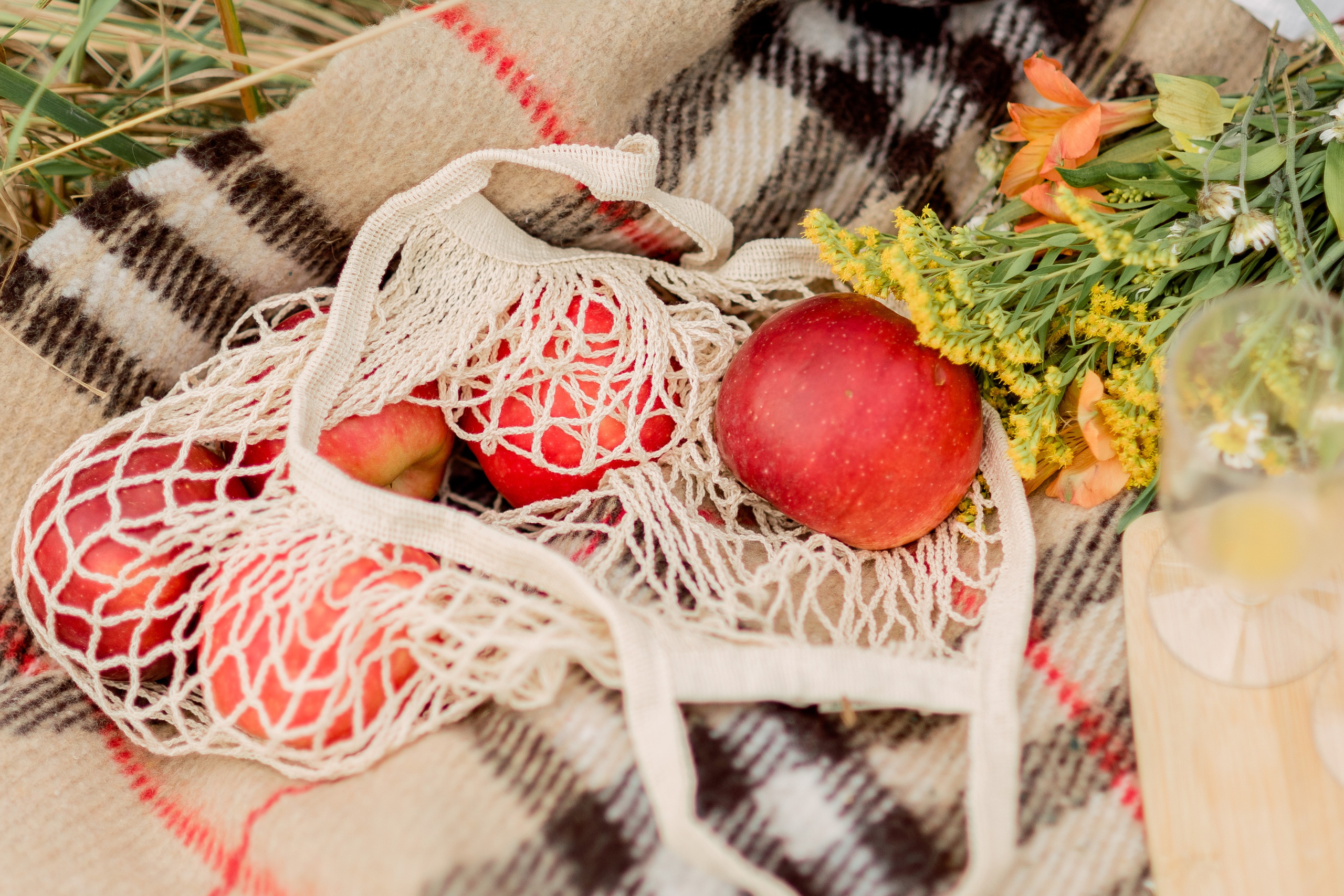 В поле. Фотограф Юлия Попова