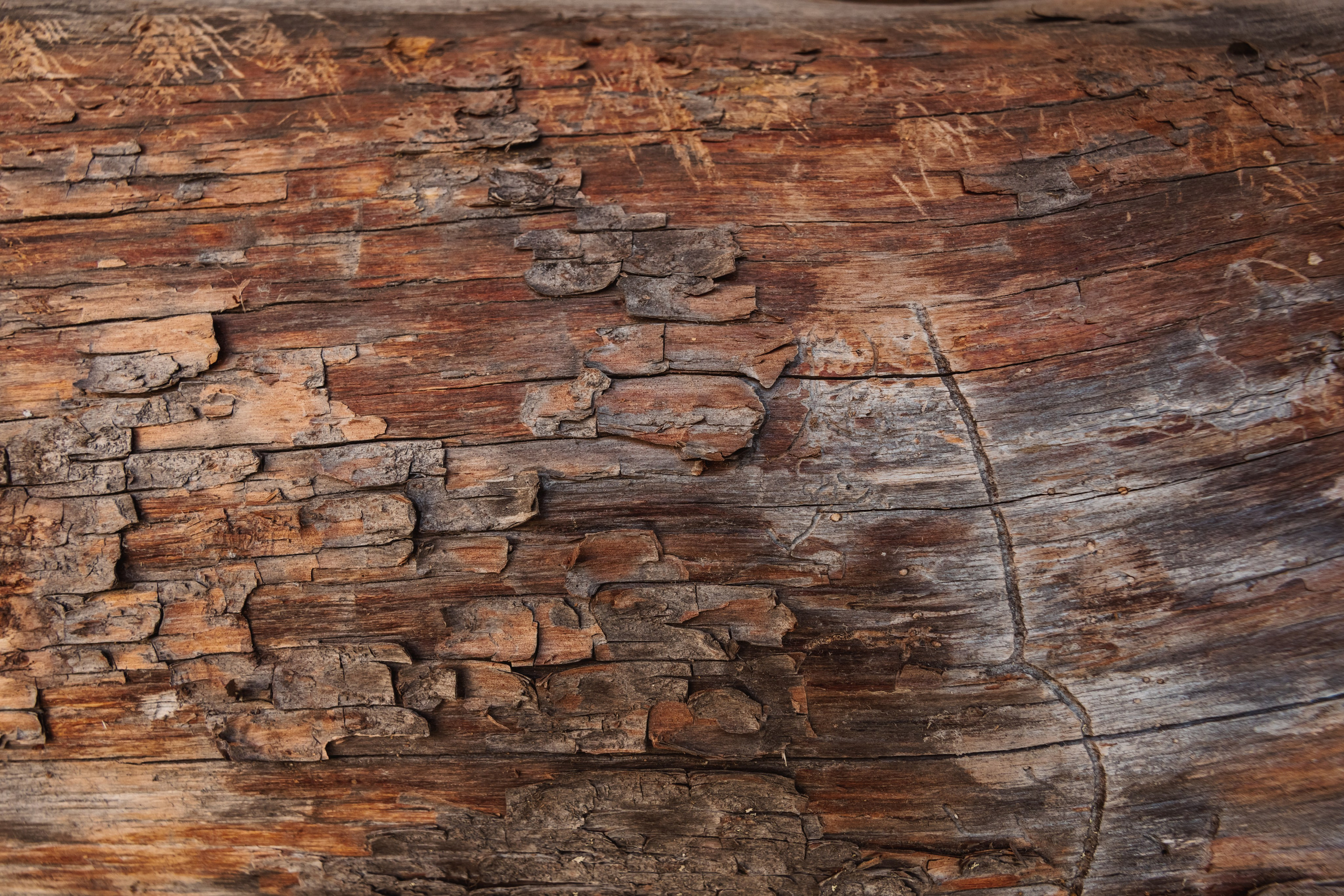 KUKSA|ТО, ЧТО ТЕБЯ СОГРЕВАЕТ|Кело-баня на дровах, г. Коломна. ФОТОГРАФ ИРИНА ШАМАТАВА