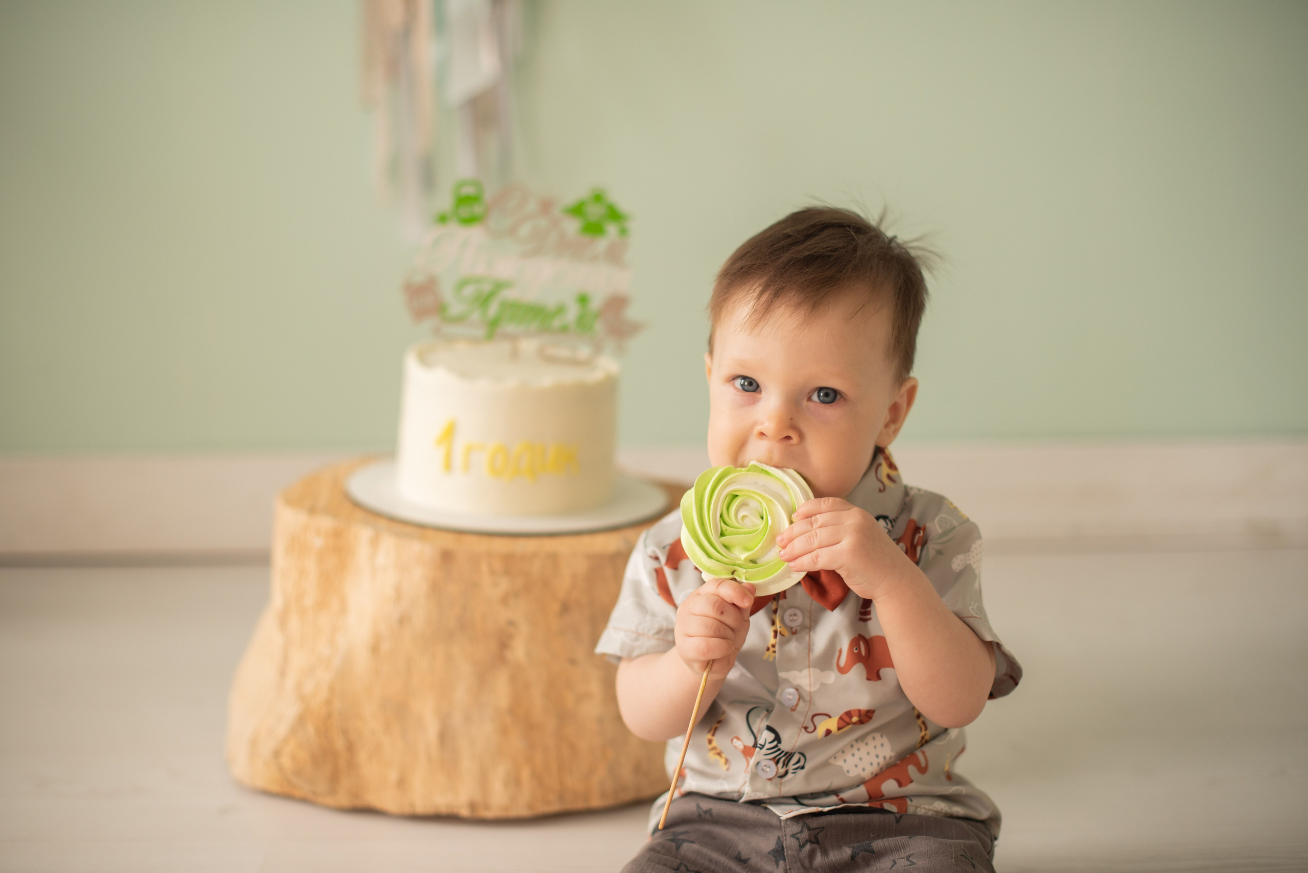 Тёме 1 годик. Свадебный и семейный фотограф Ольга Астрейко