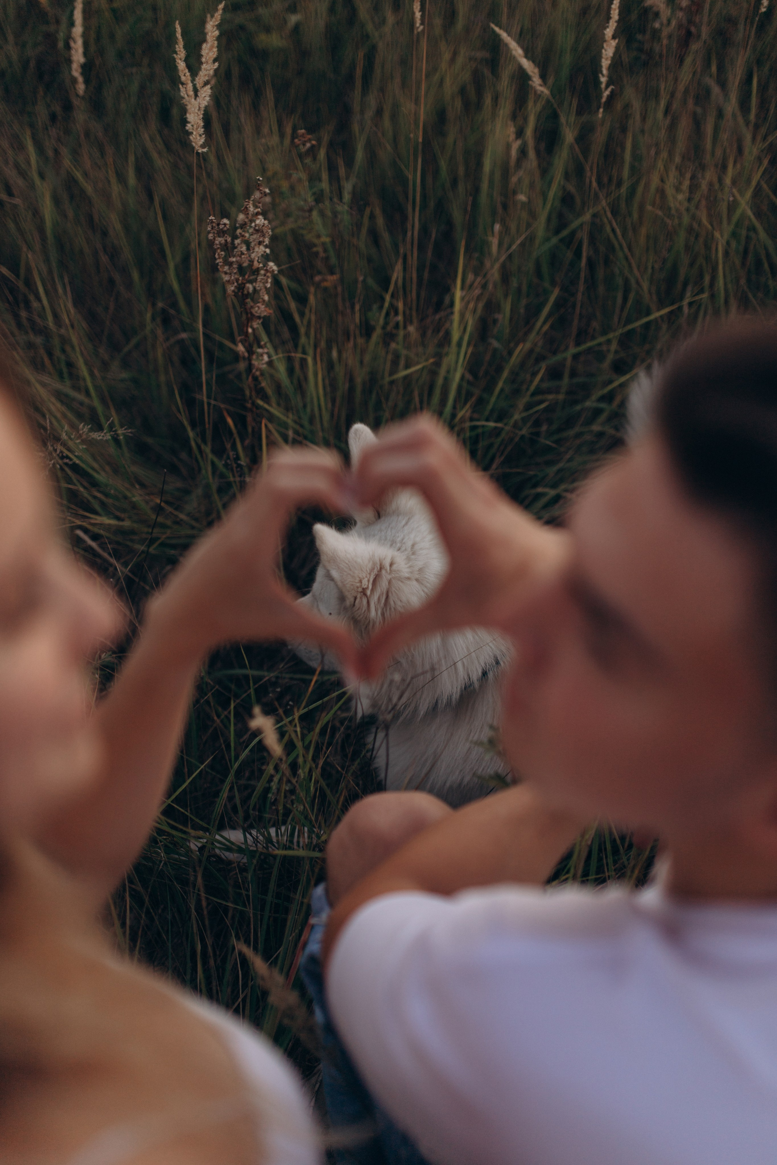 Мы вместе. Главная