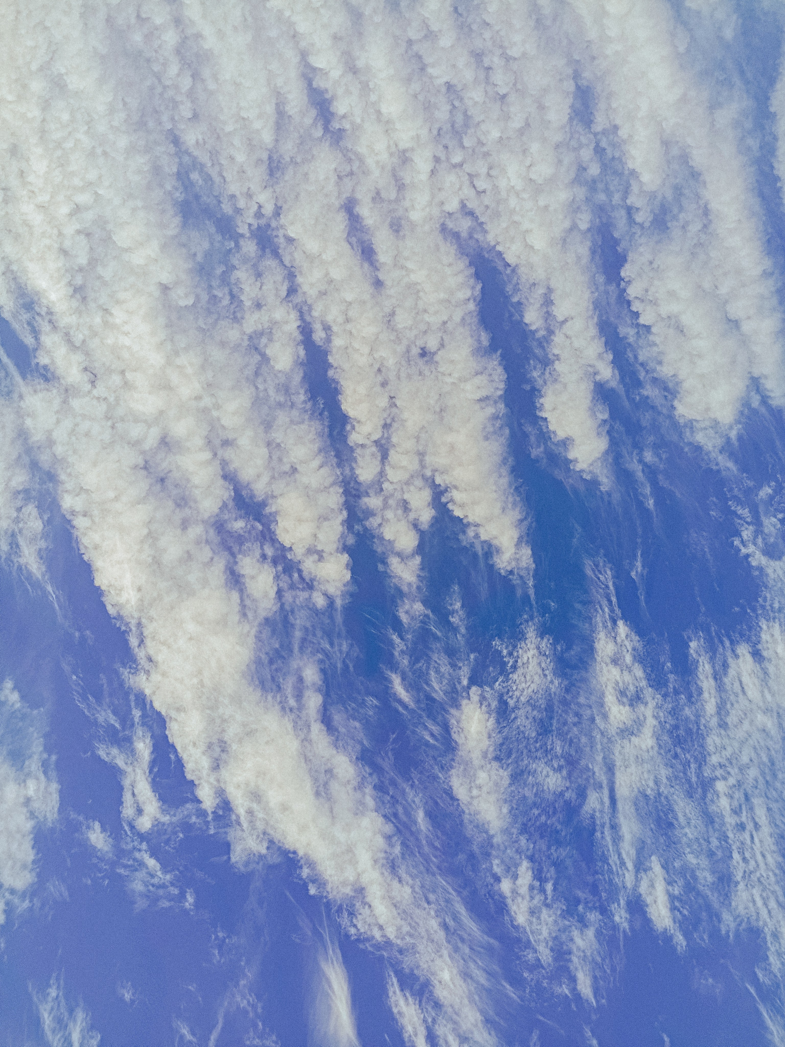 Мобильная. Jorgis — фотограф в Хургаде / обучение фотографии