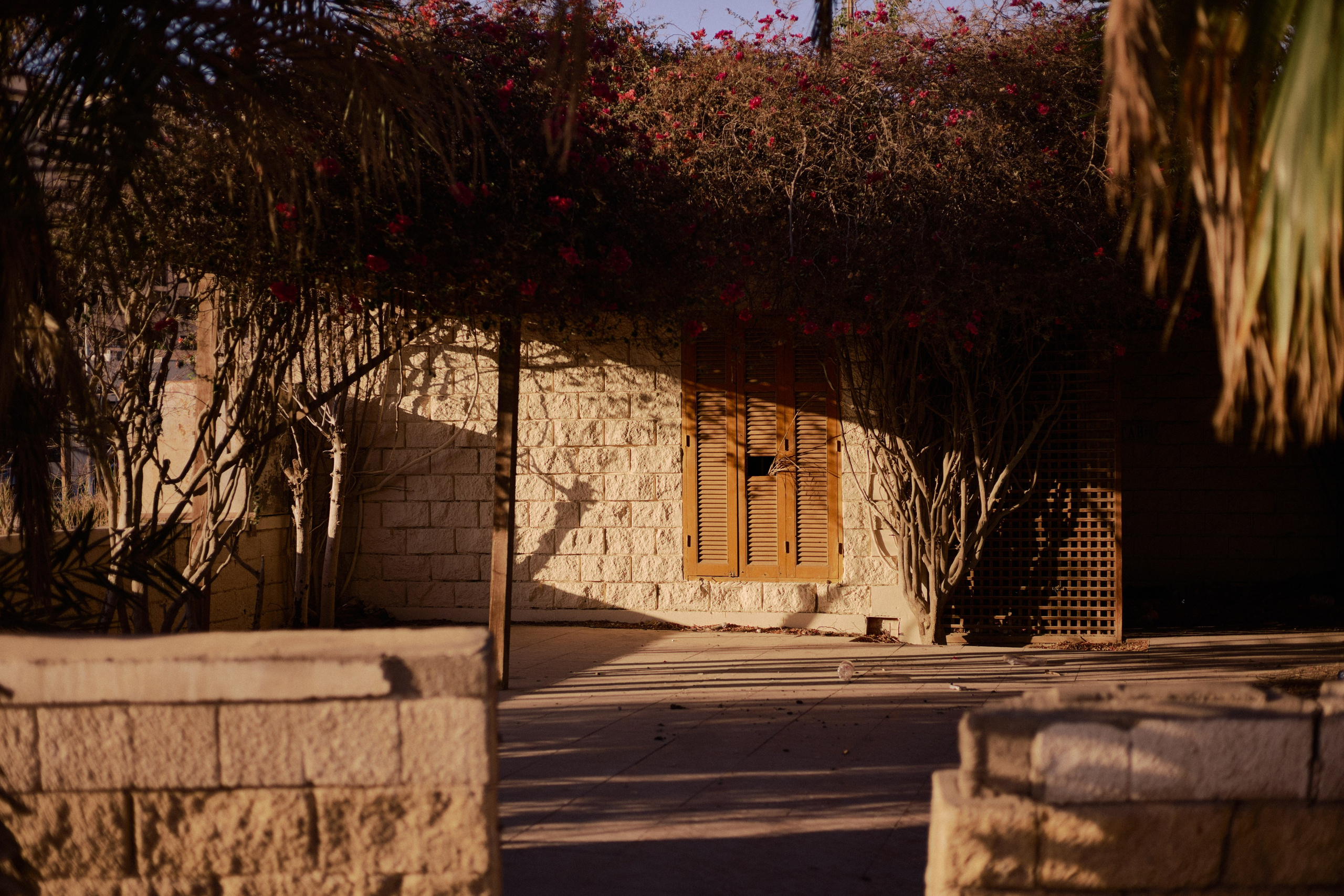 Улица горизонтальная. Jorgis — фотограф в Хургаде / обучение фотографии