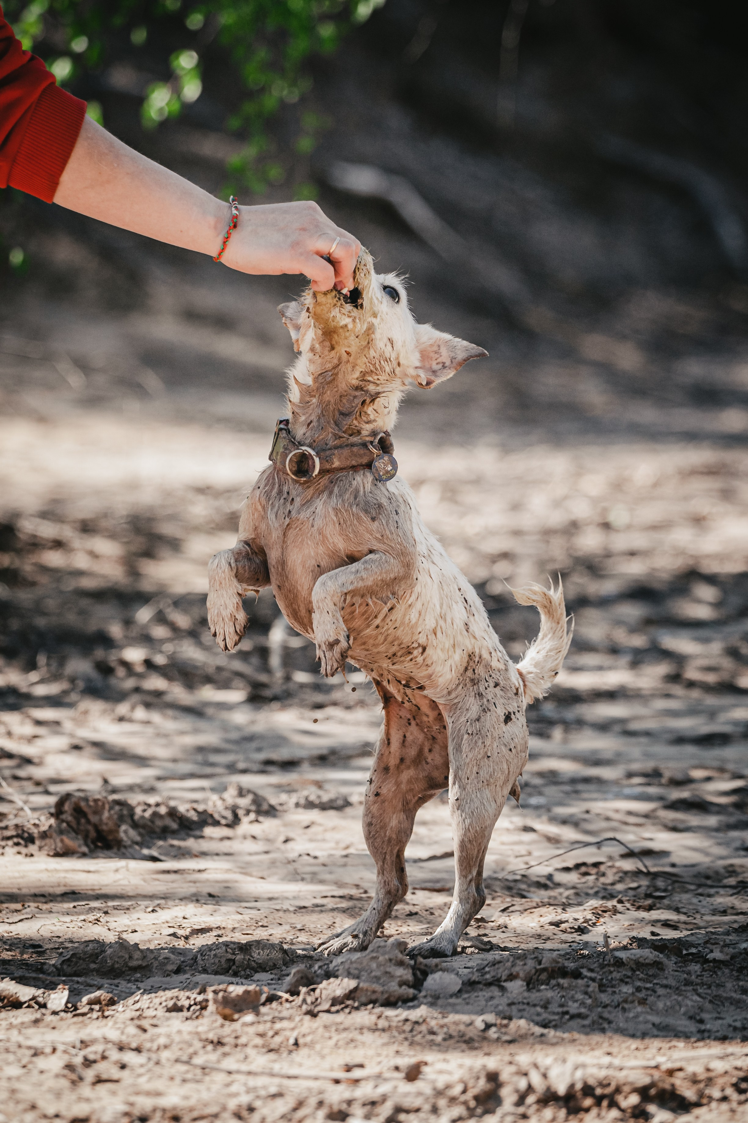Кондуки. Фотограф-анималист Татьяна Степанова