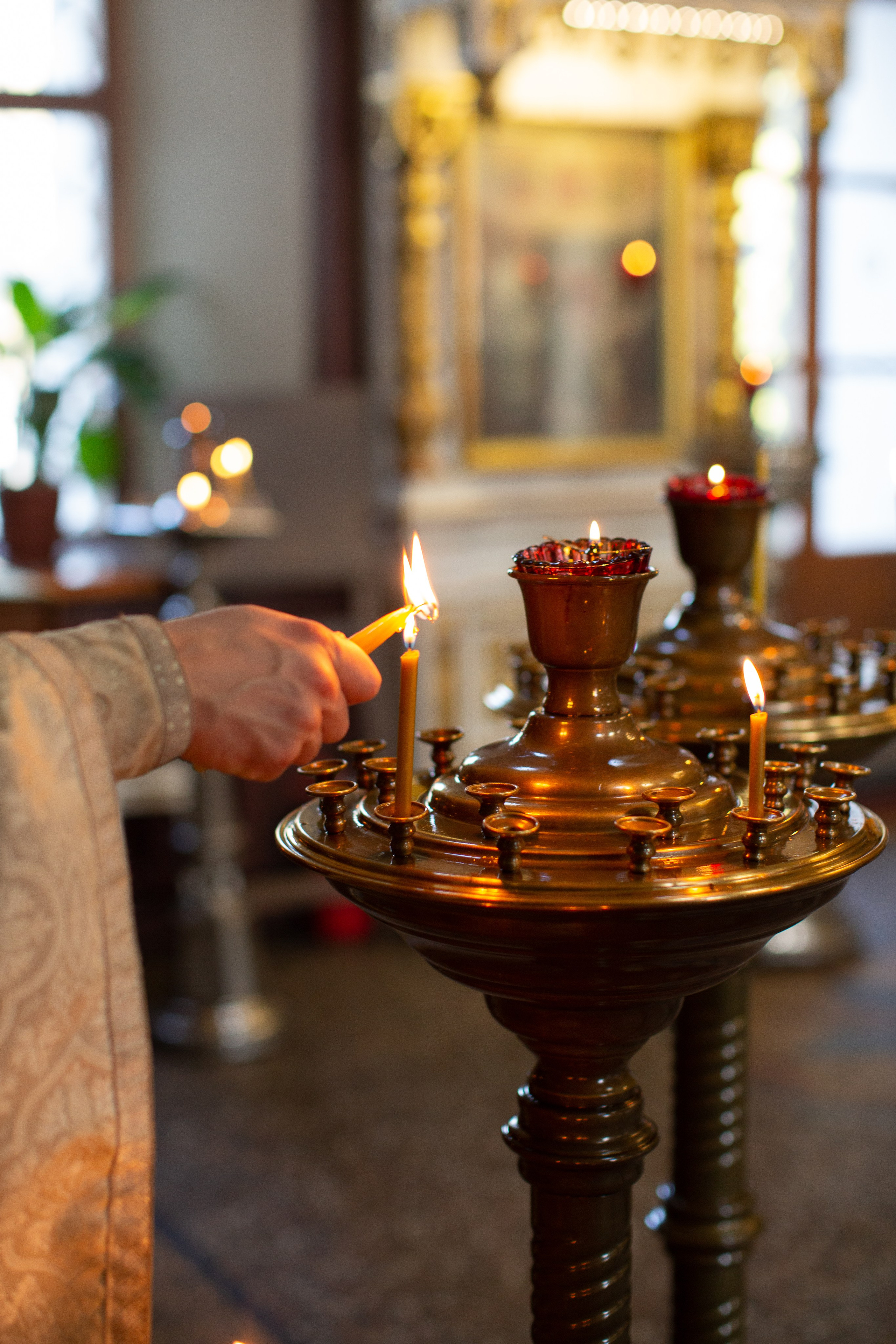 Миша. Фотограф в Москве и Московской области Голубева Анастасия