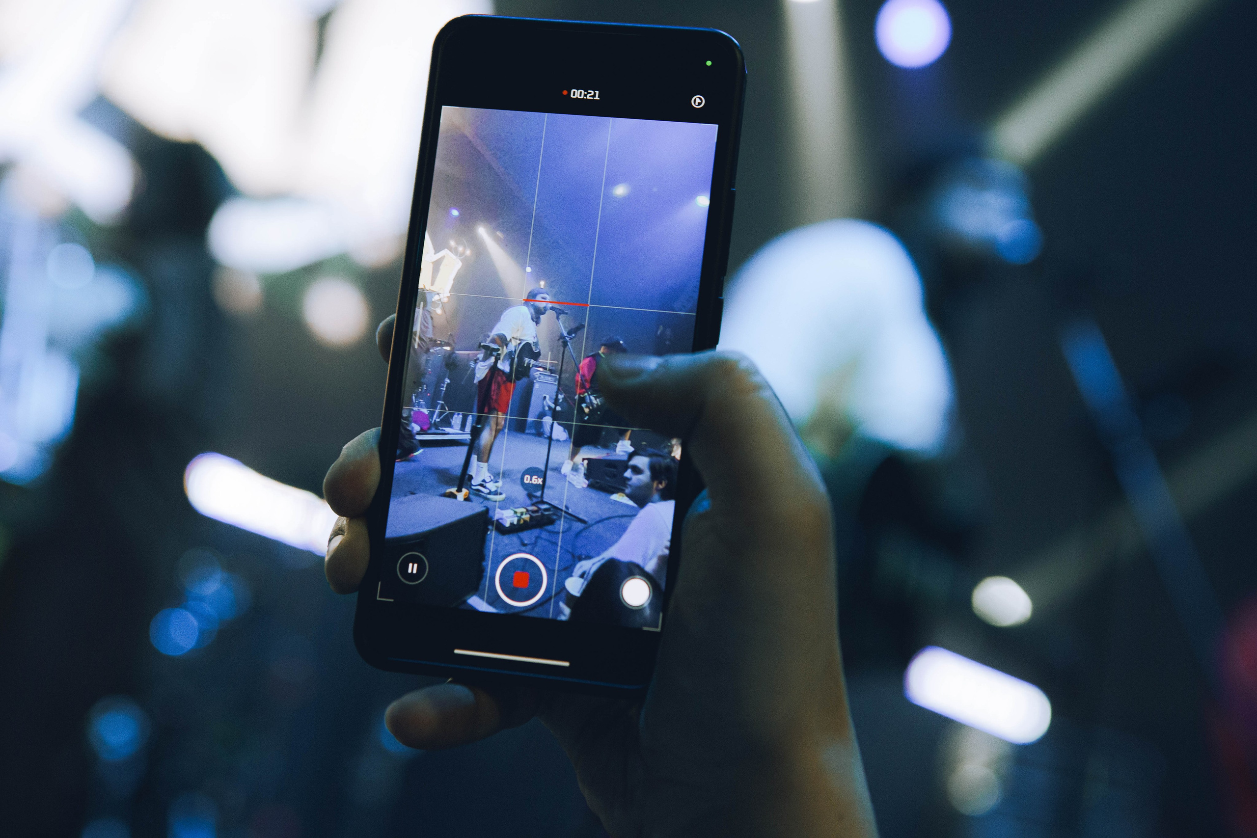 СКОТЫ 20.12.2025. Репортажный и портретный фотограф Михаил Мартиросян