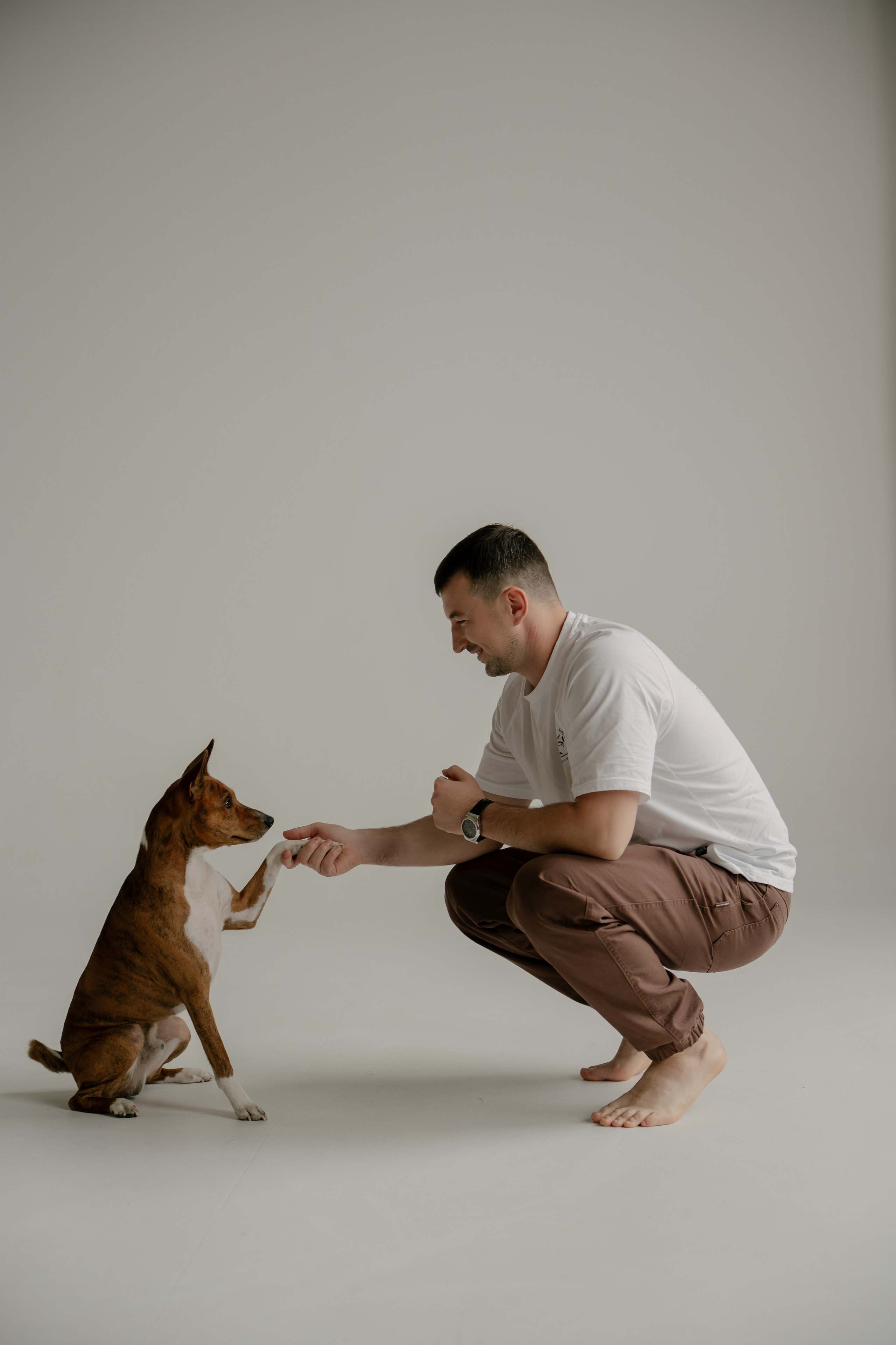 Арина, Антон и Бутс. Свадебный и семейный фотограф в Москве и Красногорске — живые кадры | Анастасия Тихонова