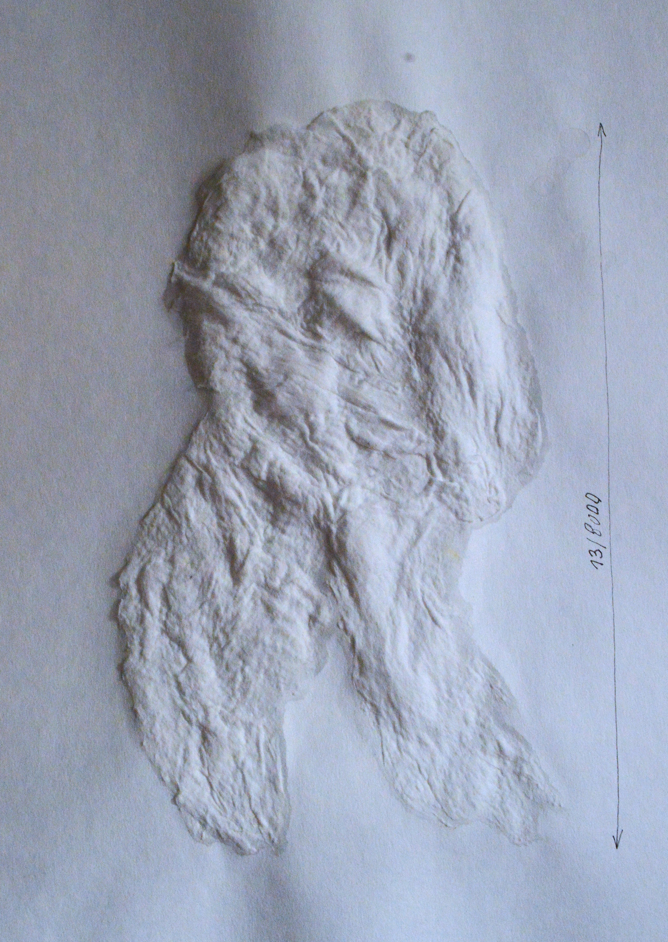 «8000 женщин» 2025. Лилия Ким. Междисциплинарный художник