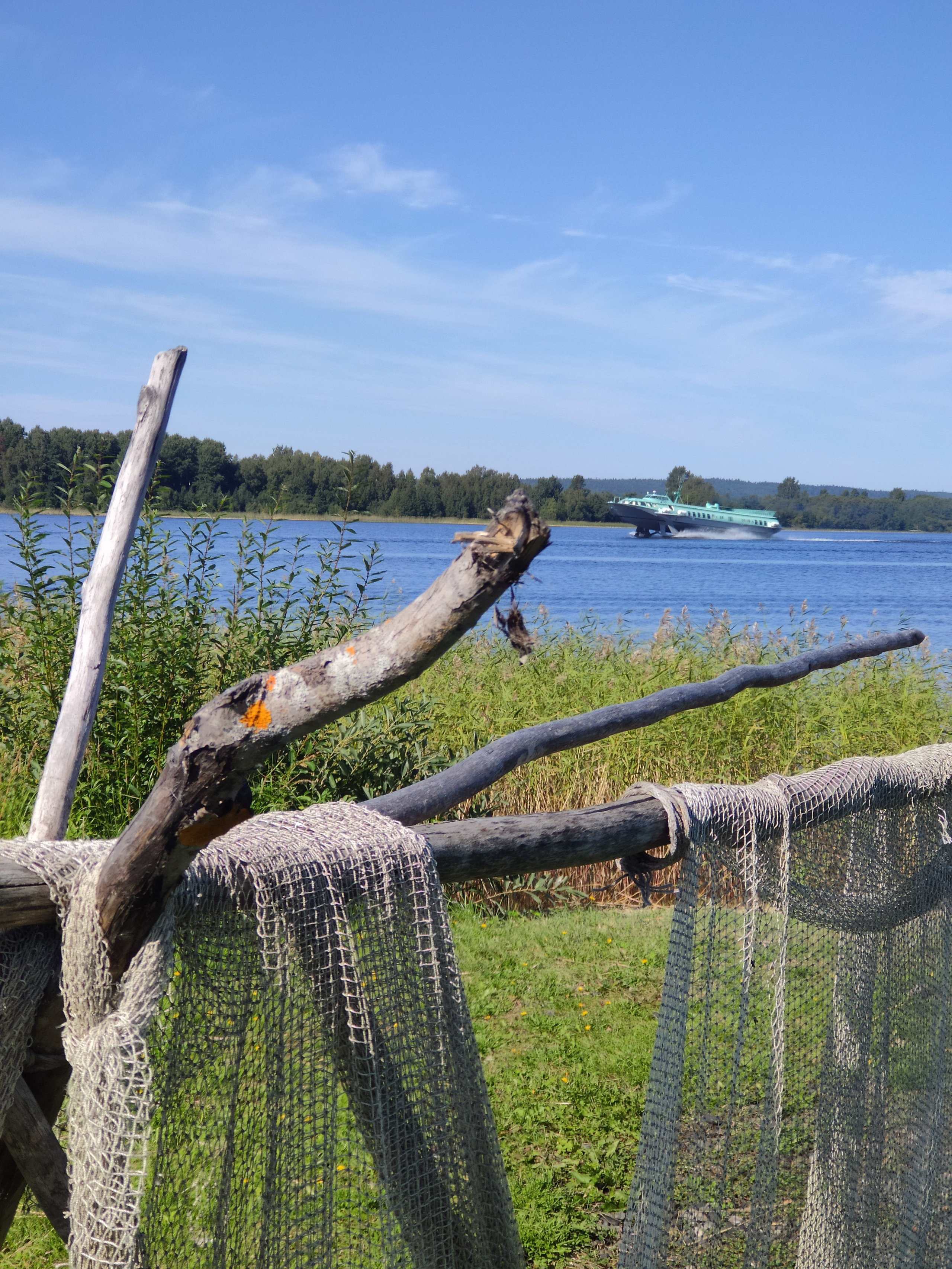 Музей-заповедник деревянного зодчества. Погода летняя, +25 и солнышко.