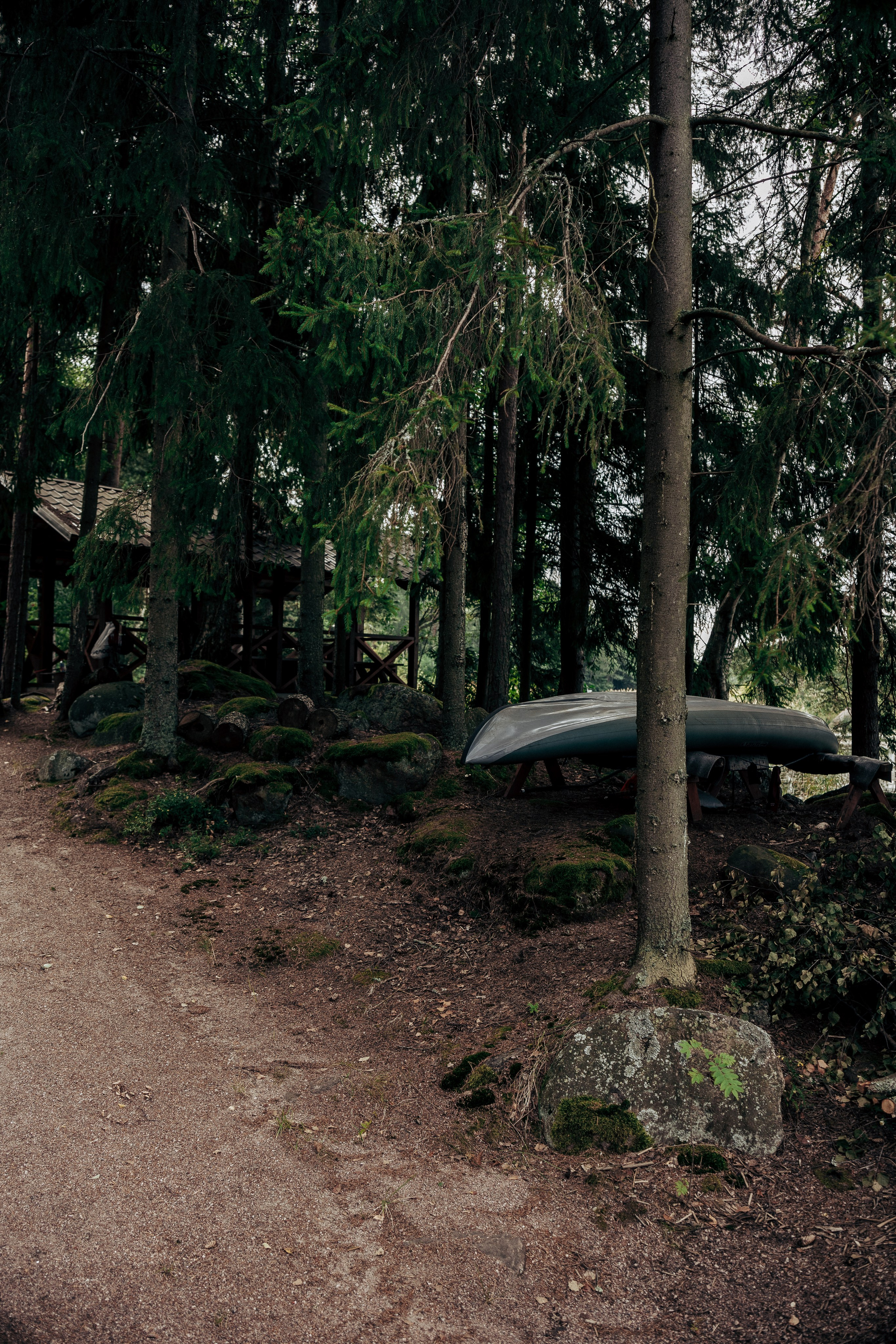 Фотосессия в лесу. Профессиональный фотограф в Санкт-Петербурге Александр Волосенцев