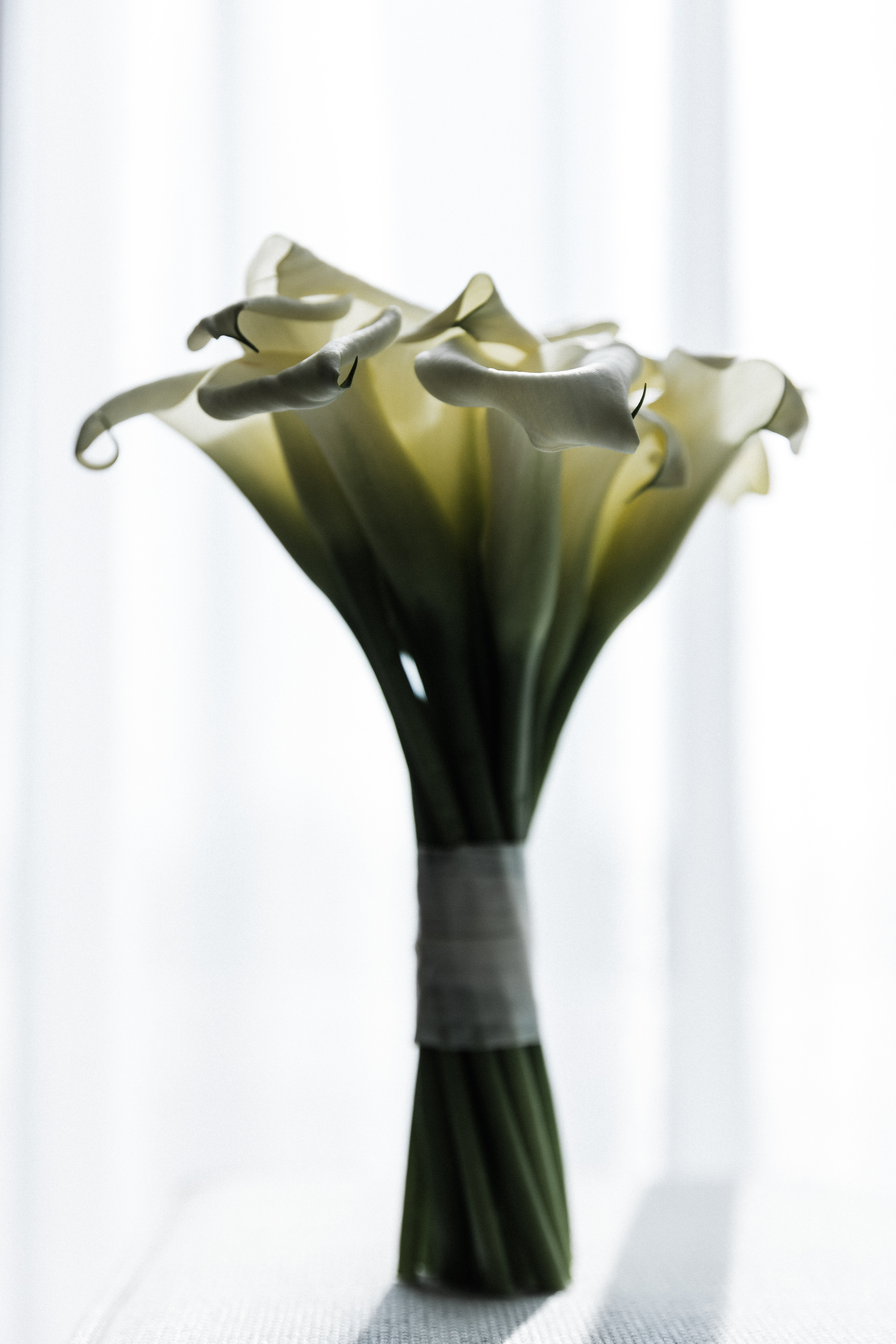 Рафаэль и Элина Астрахань. Свадебный и семейный фотограф в Краснодаре Роман Моско