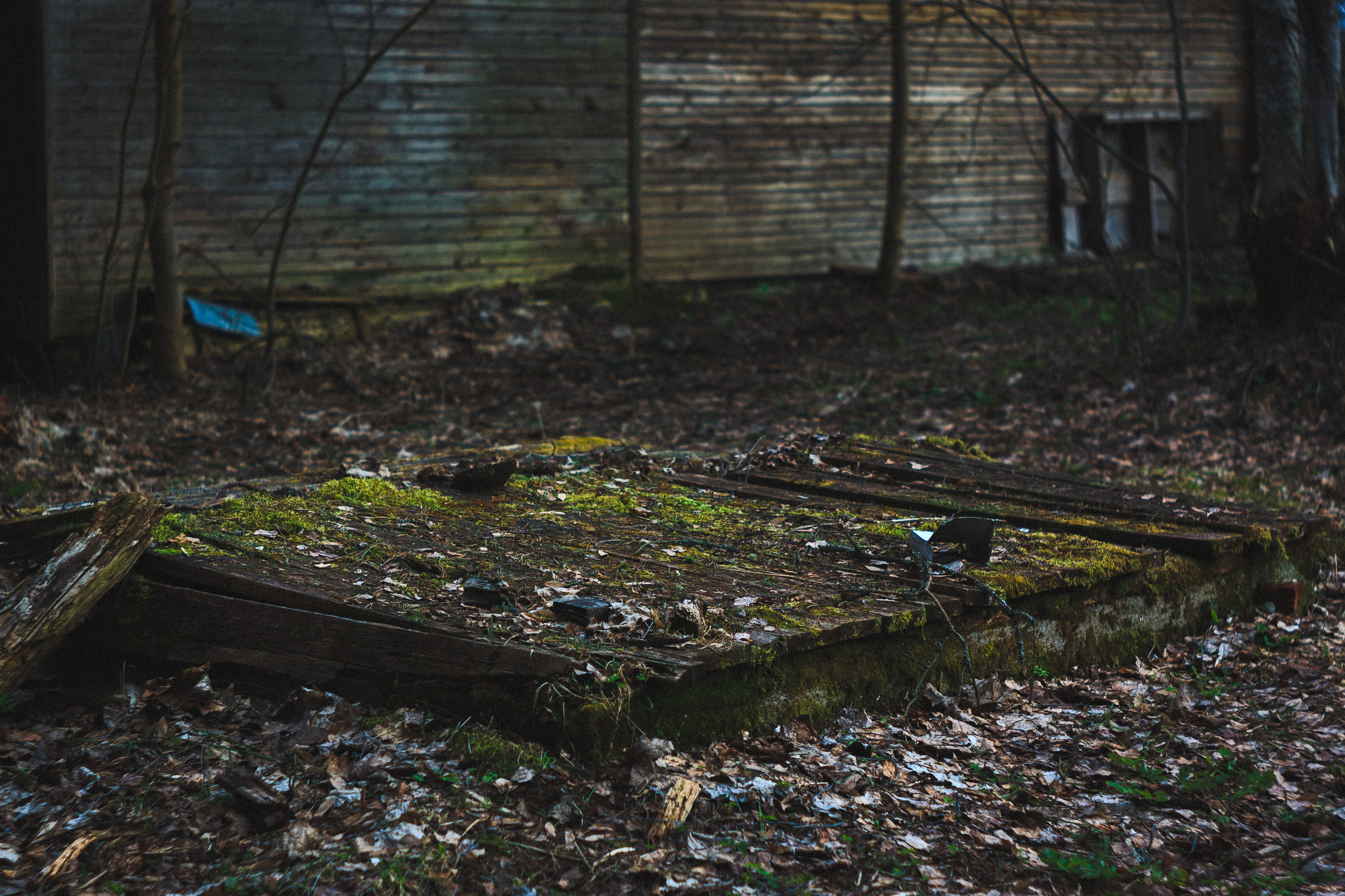 Деревня. Den Mirov — Photographer, Musician