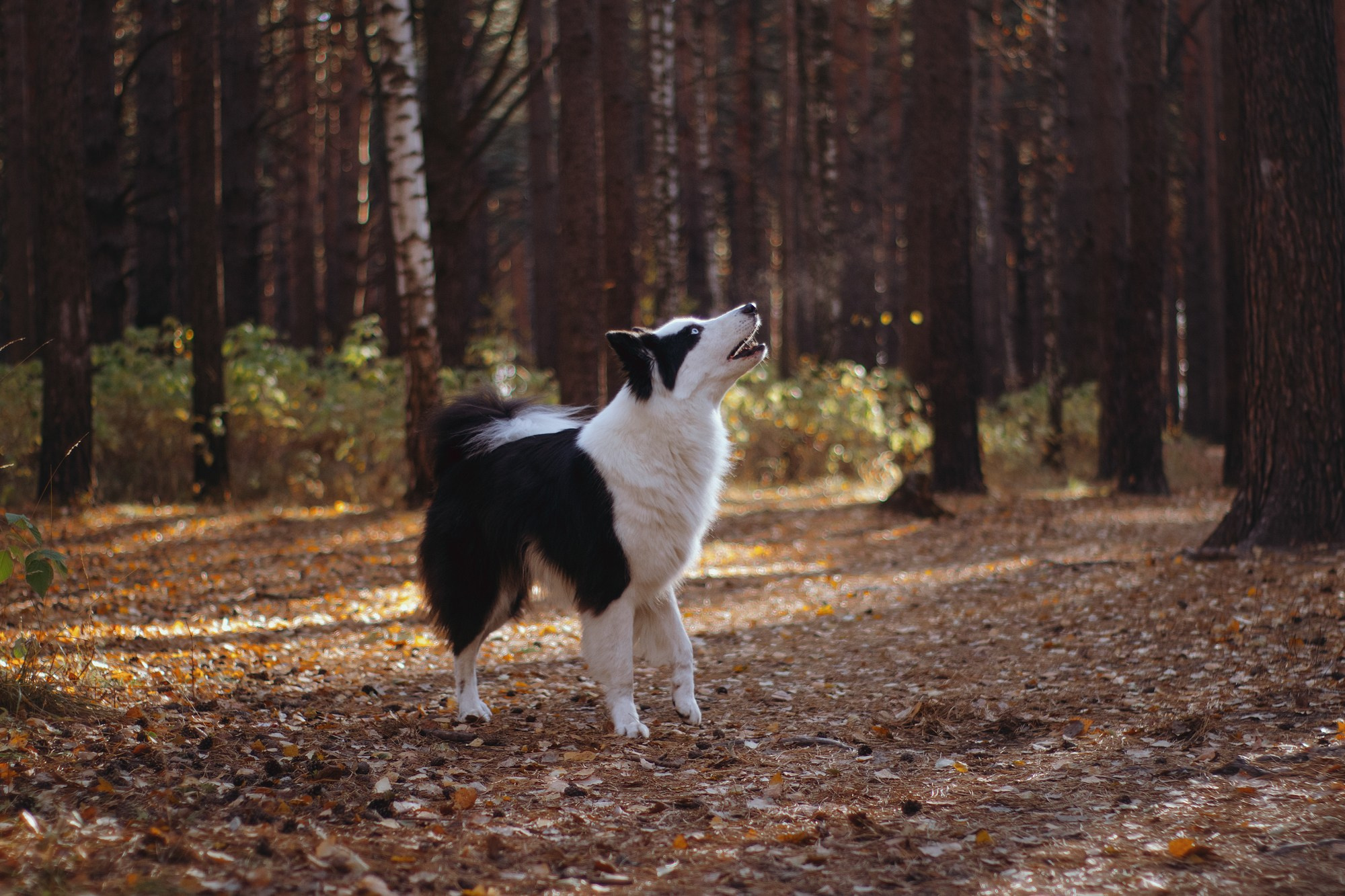 Ликёр. Фотограф в Тюмени Лизавета Сапицкая