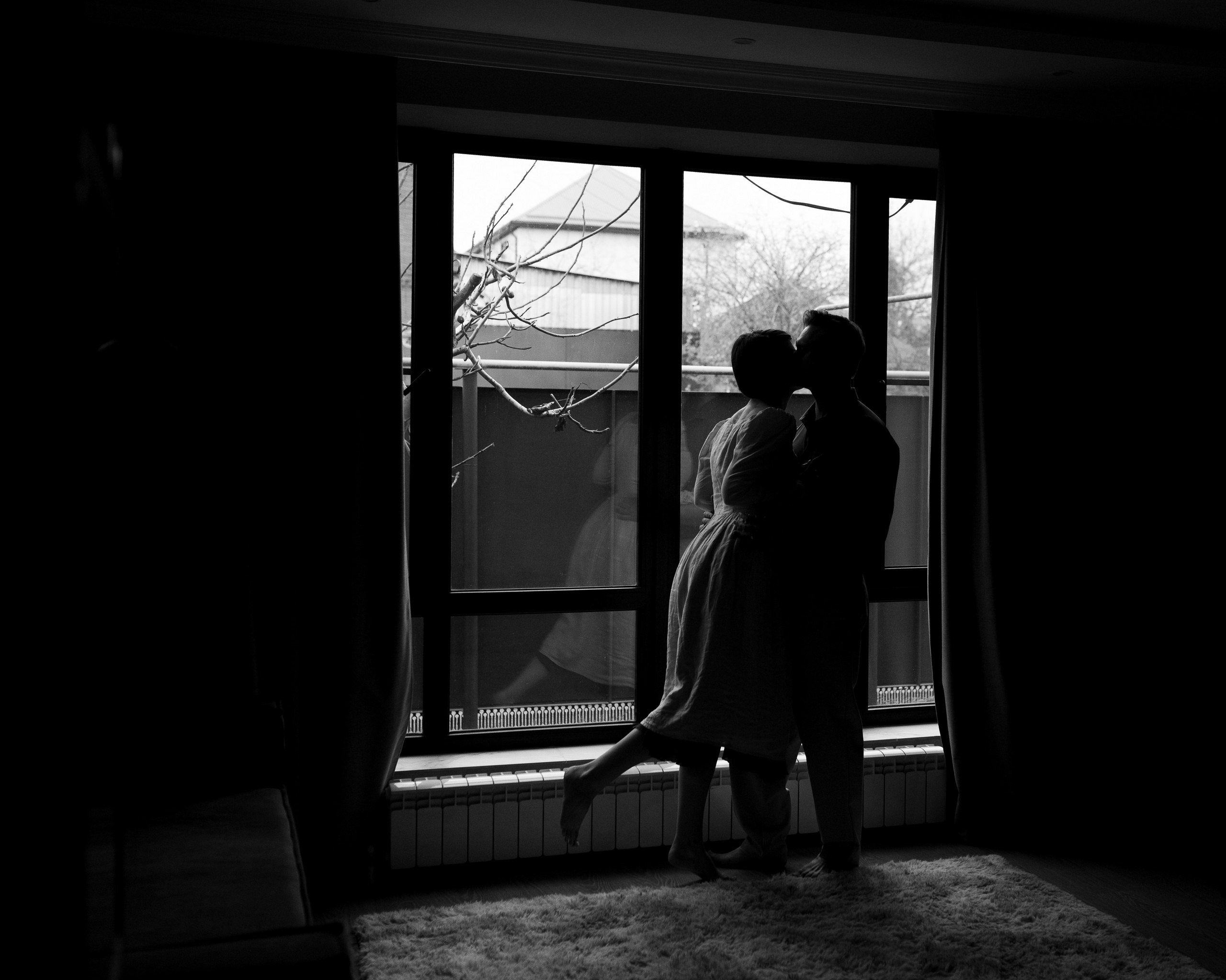 Домашняя история. Meryfotoidea