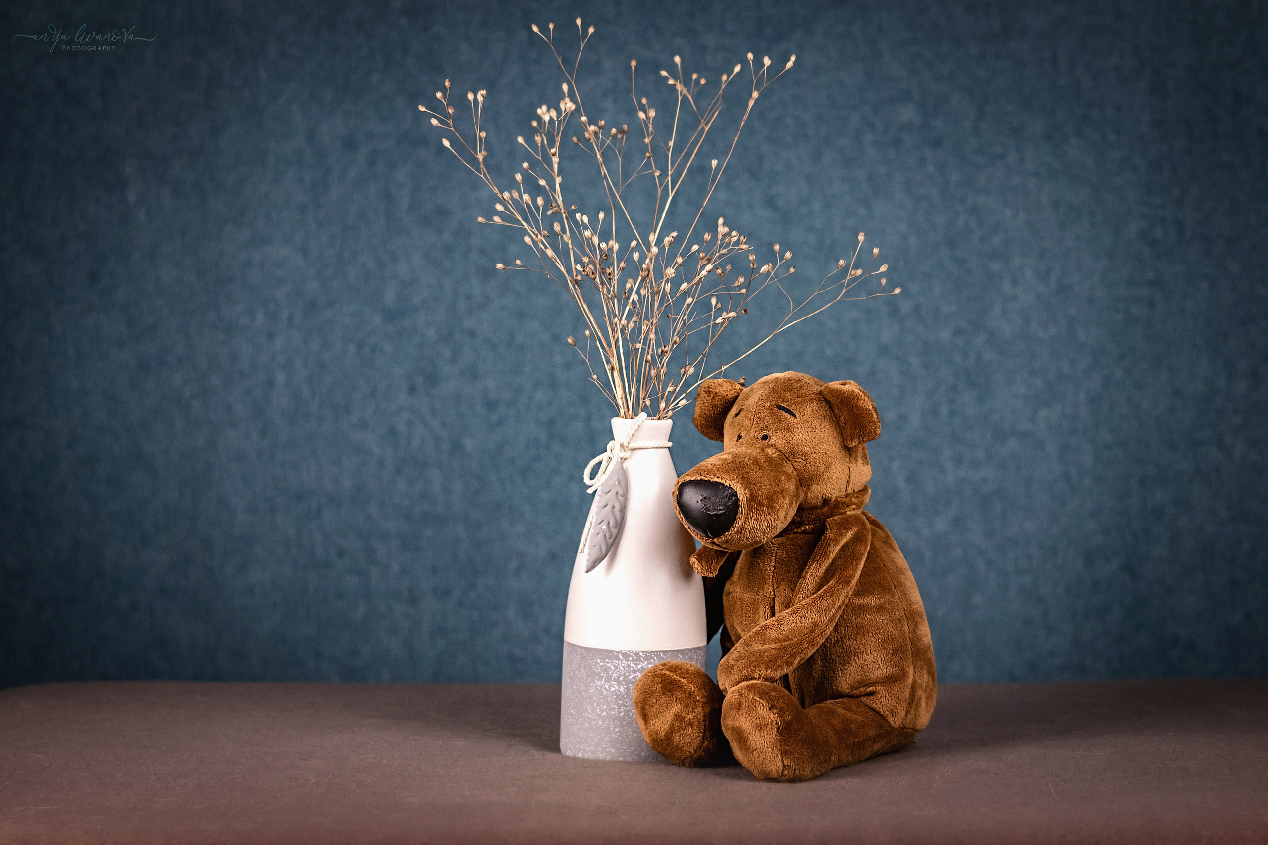 Бирюзовый фон. Фотограф анималист Аня Ливанова | Рыбинск