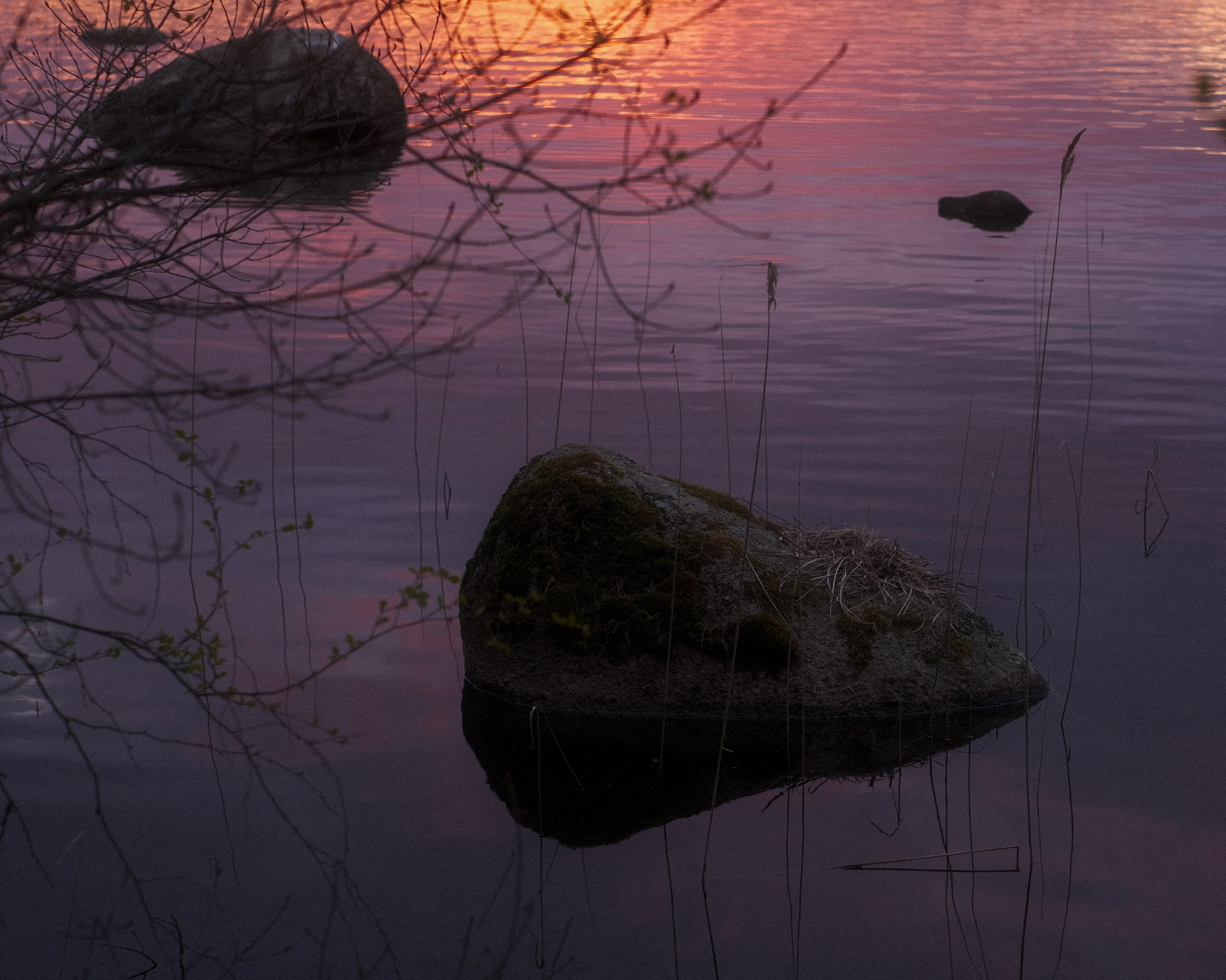 Весеннее заходское