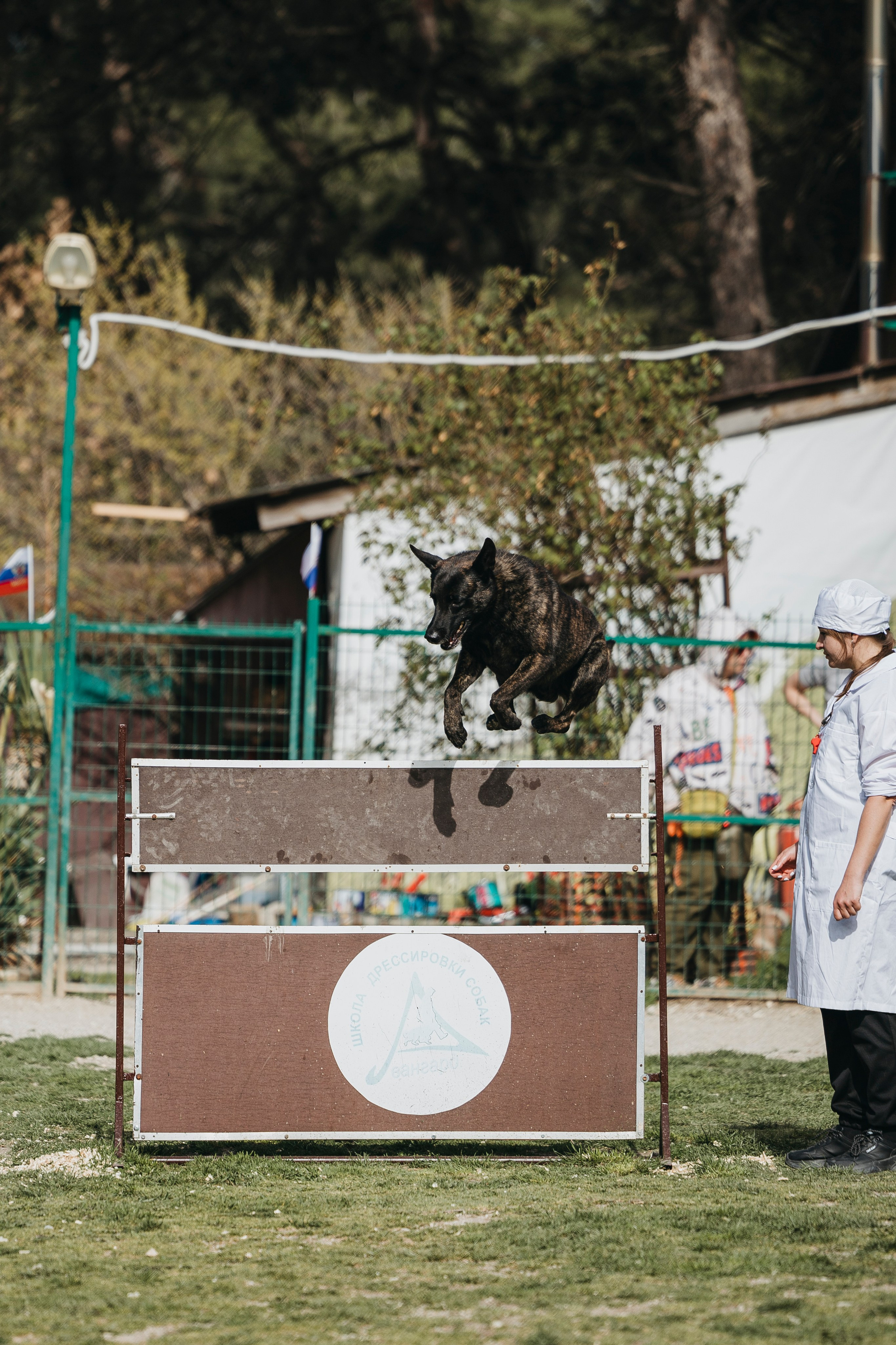 Геленджик Мондьоринг. Фотограф-анималист Анна Маринич