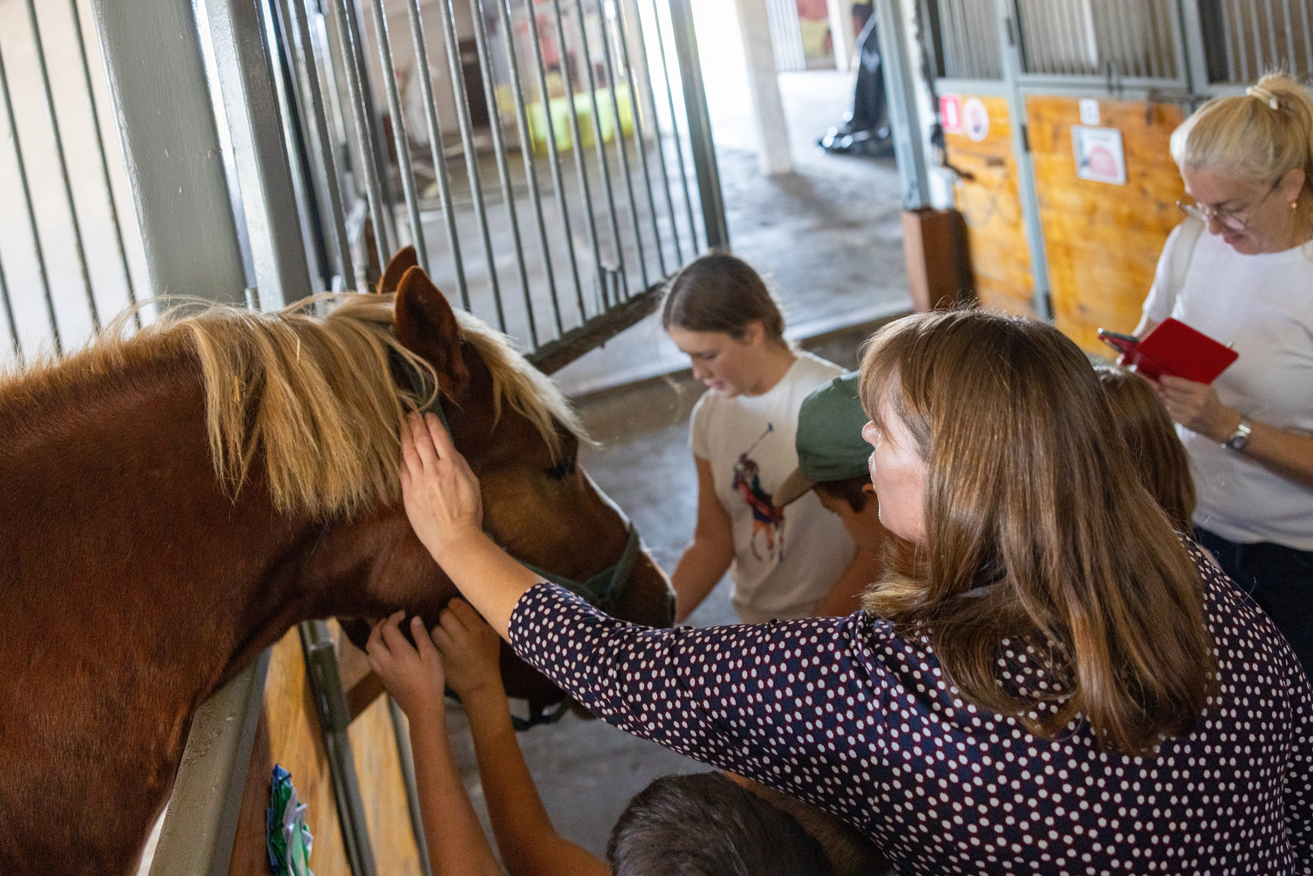 Поездка на поле Кулеково. Фотограф в Туле Крупский АнДРей. Фотостудия «КАДР71» в Туле